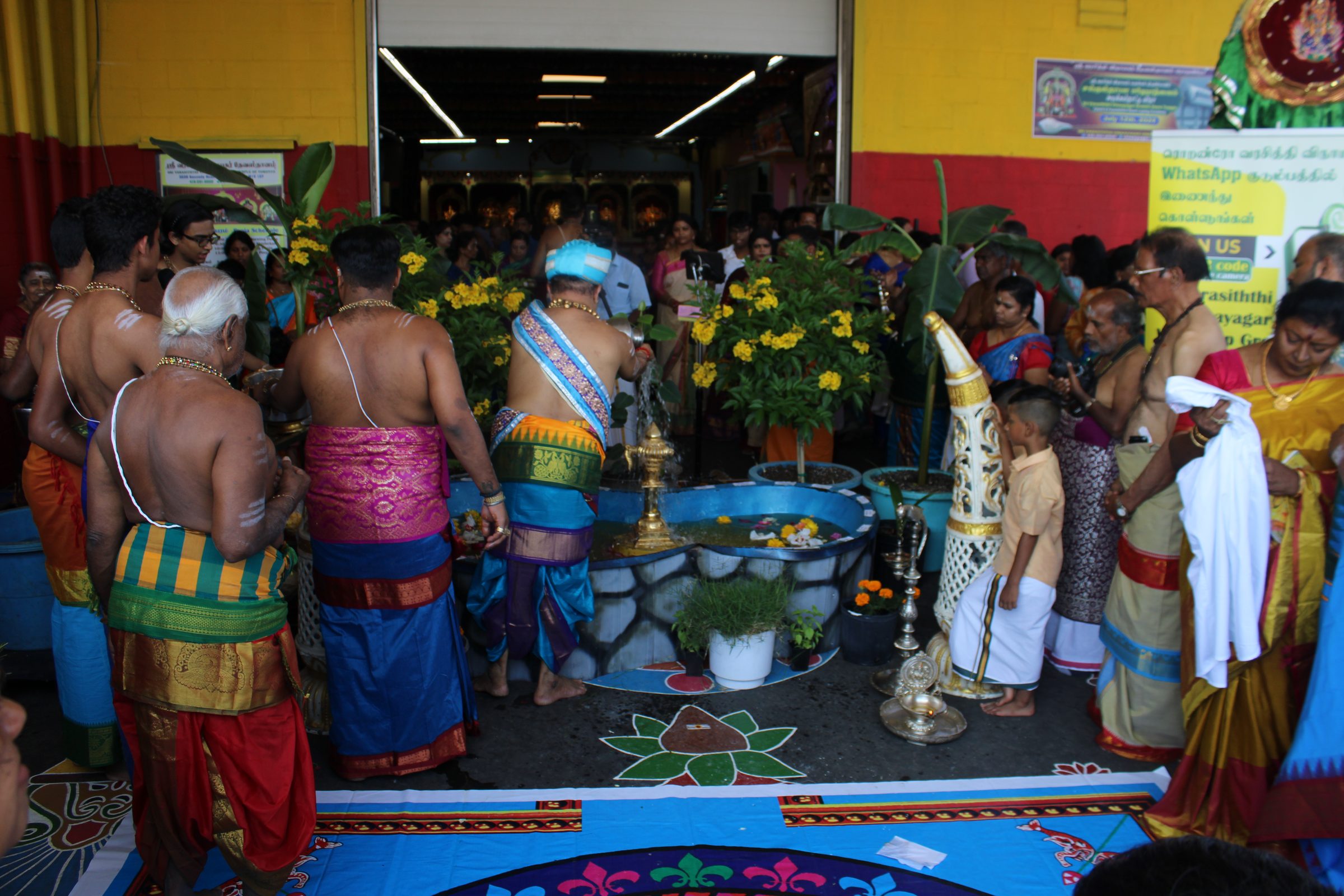 Festival 2024 photo