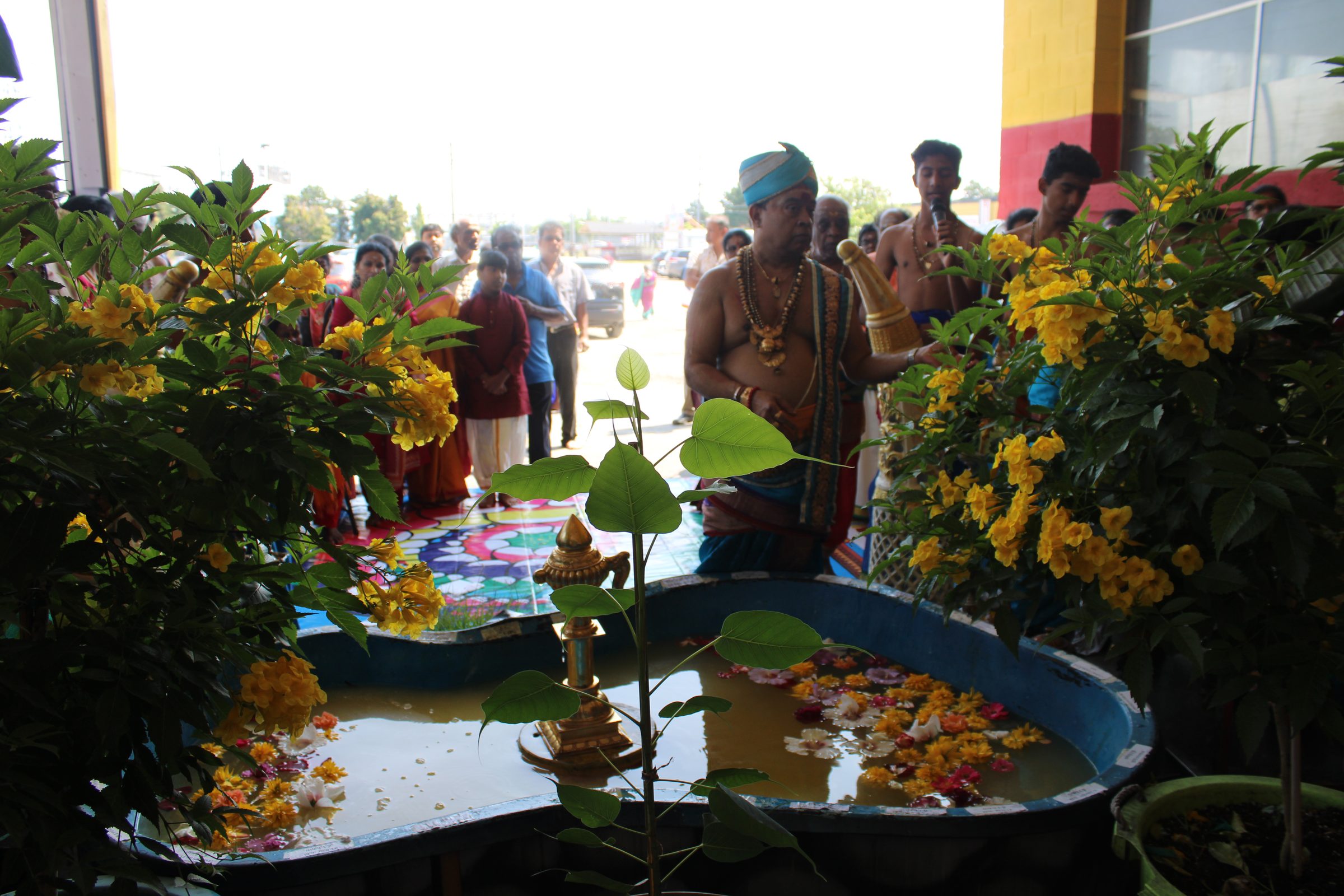 Festival 2024 photo