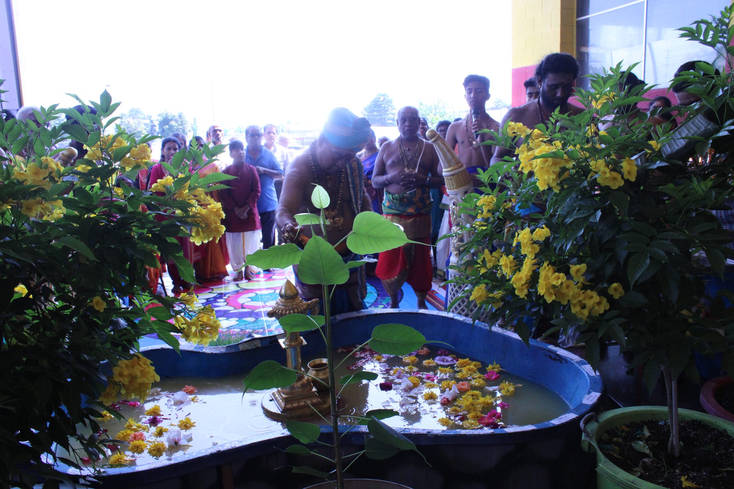Festival 2024 photo