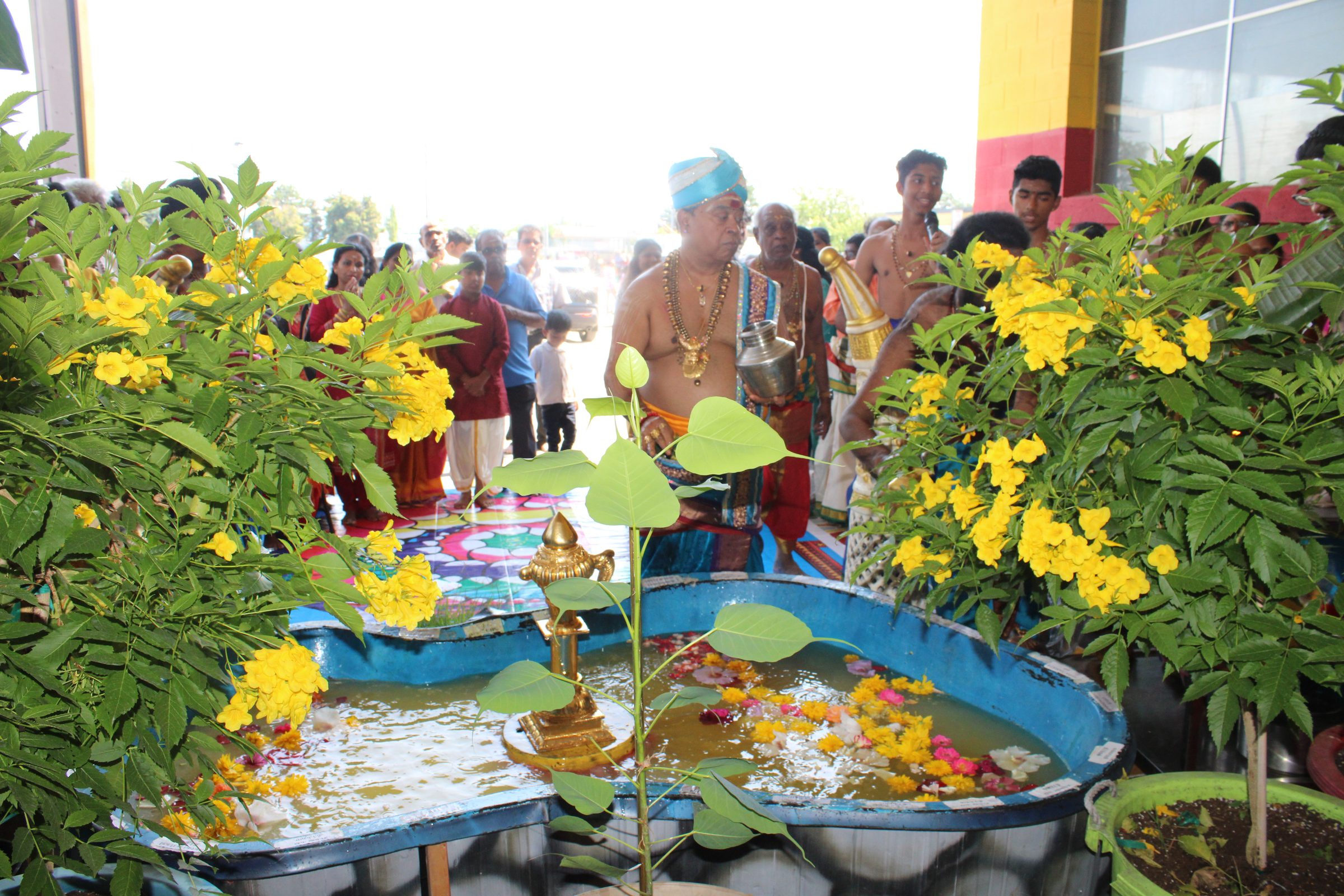 Festival 2024 photo