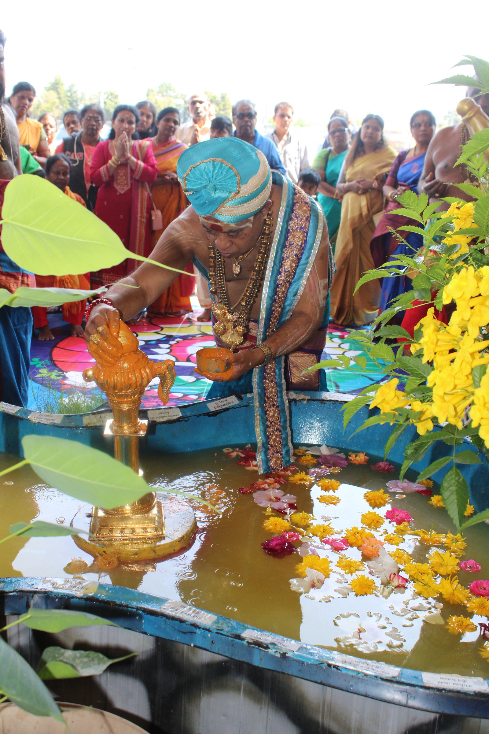 Festival 2024 photo