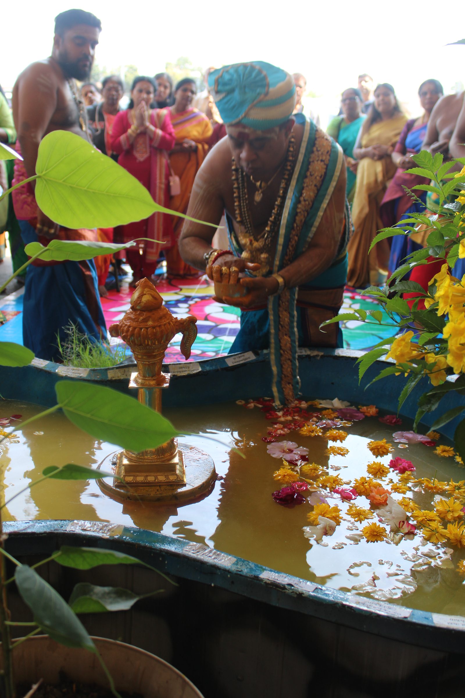 Festival 2024 photo