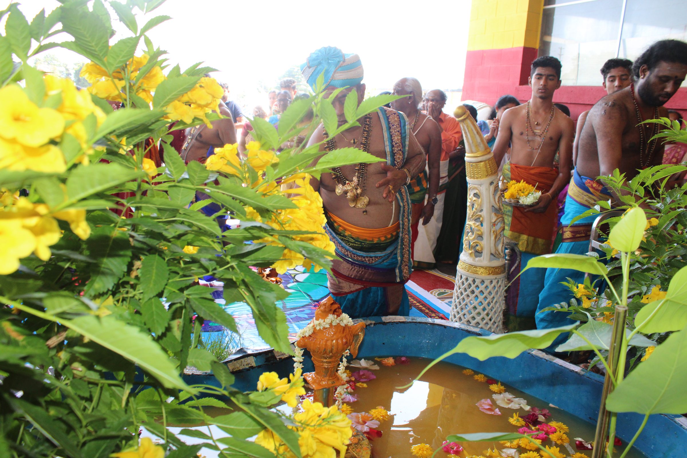Festival 2024 photo