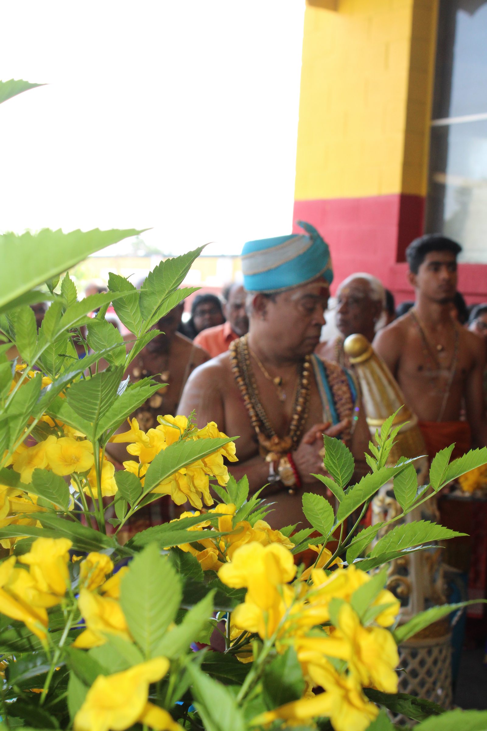 Festival 2024 photo
