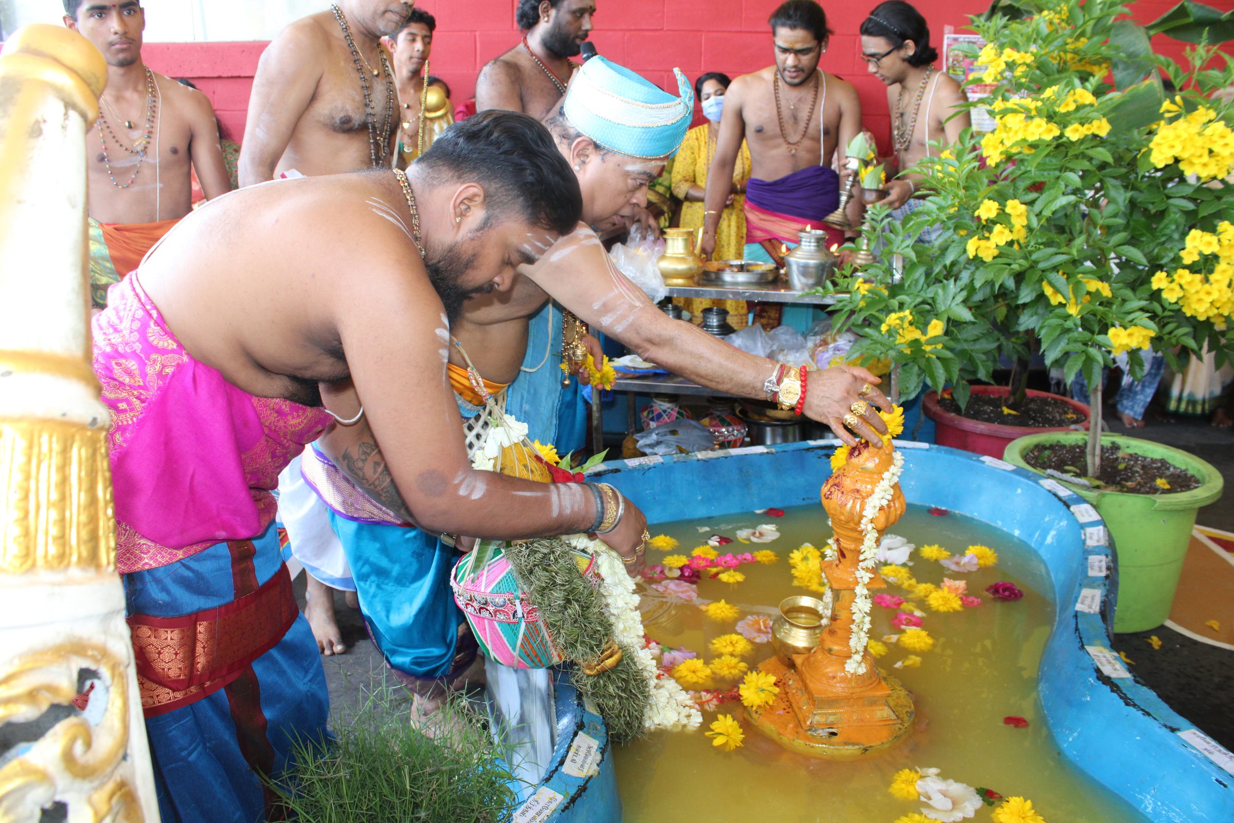 Festival 2024 photo