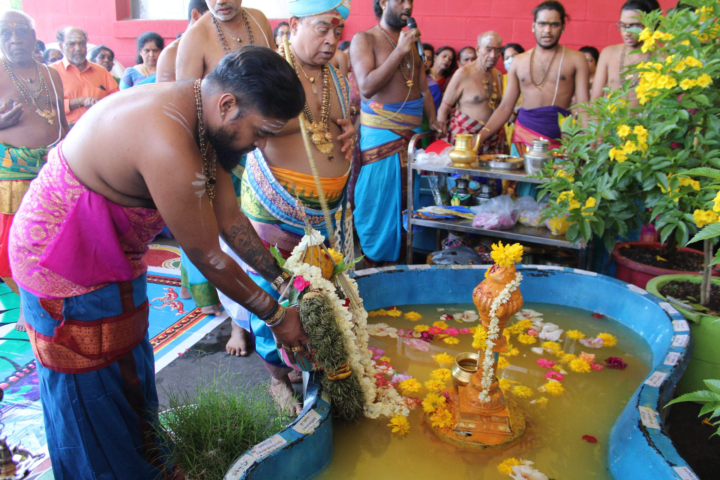 Festival 2024 photo
