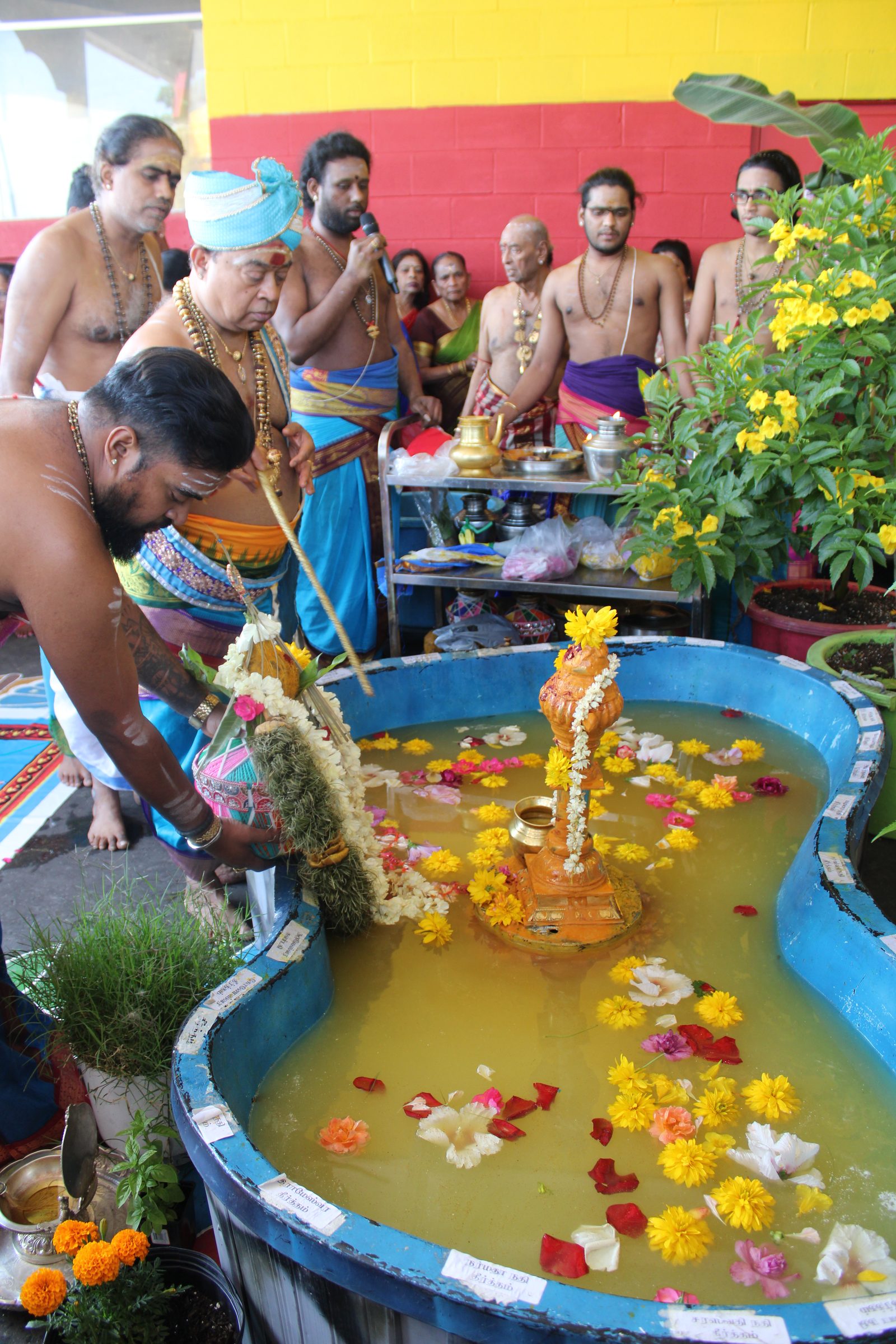Festival 2024 photo