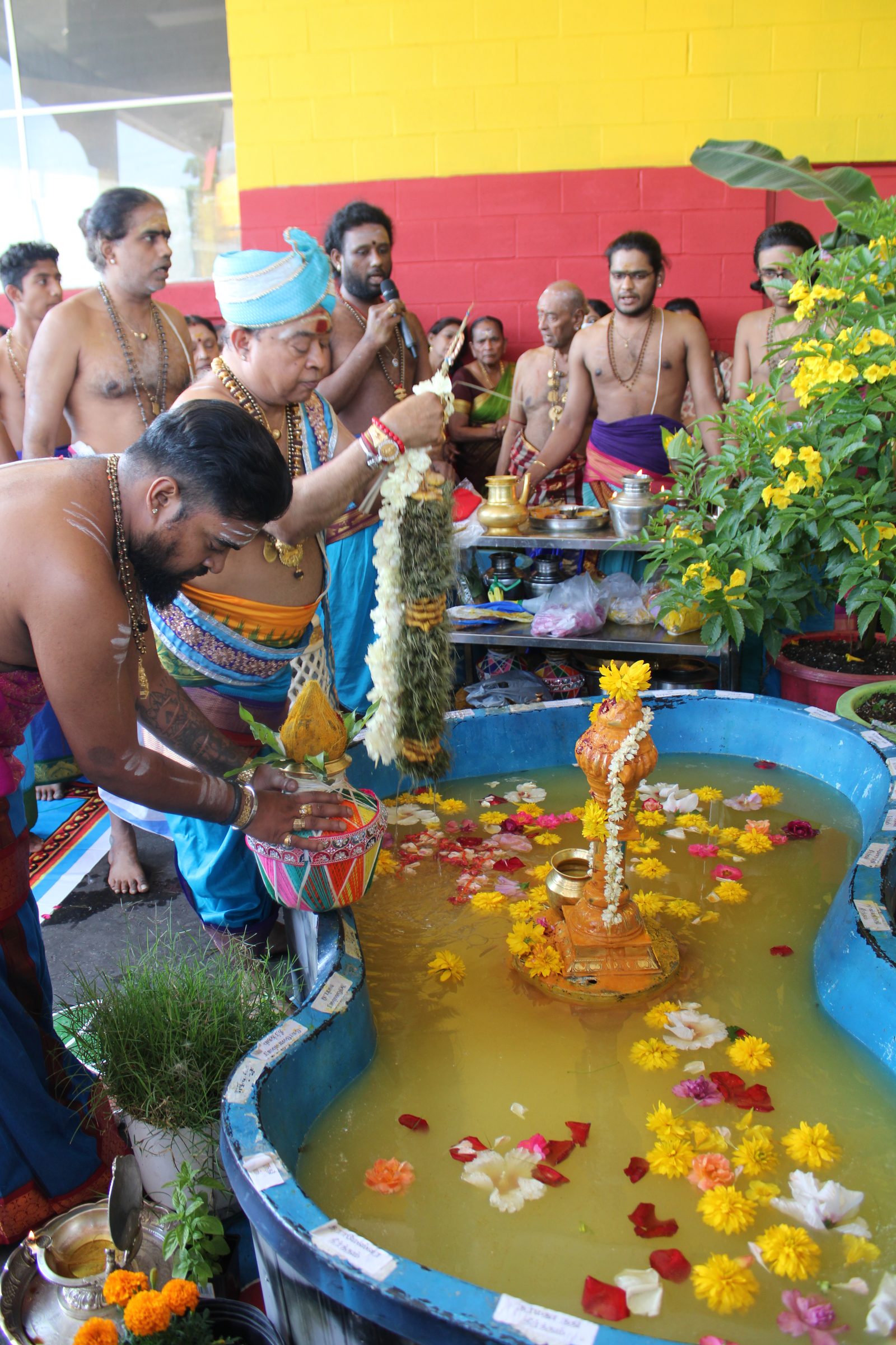 Festival 2024 photo