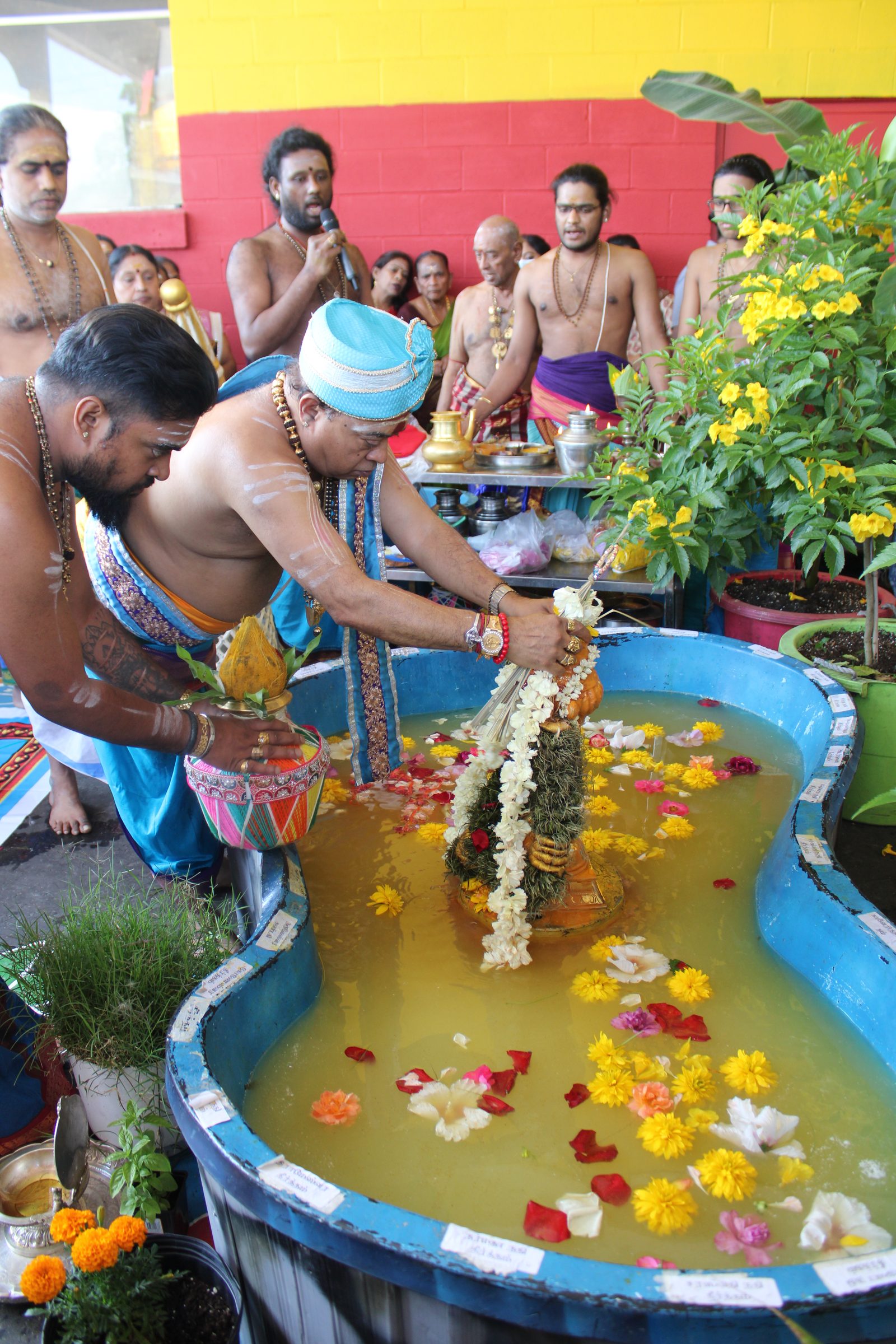 Festival 2024 photo