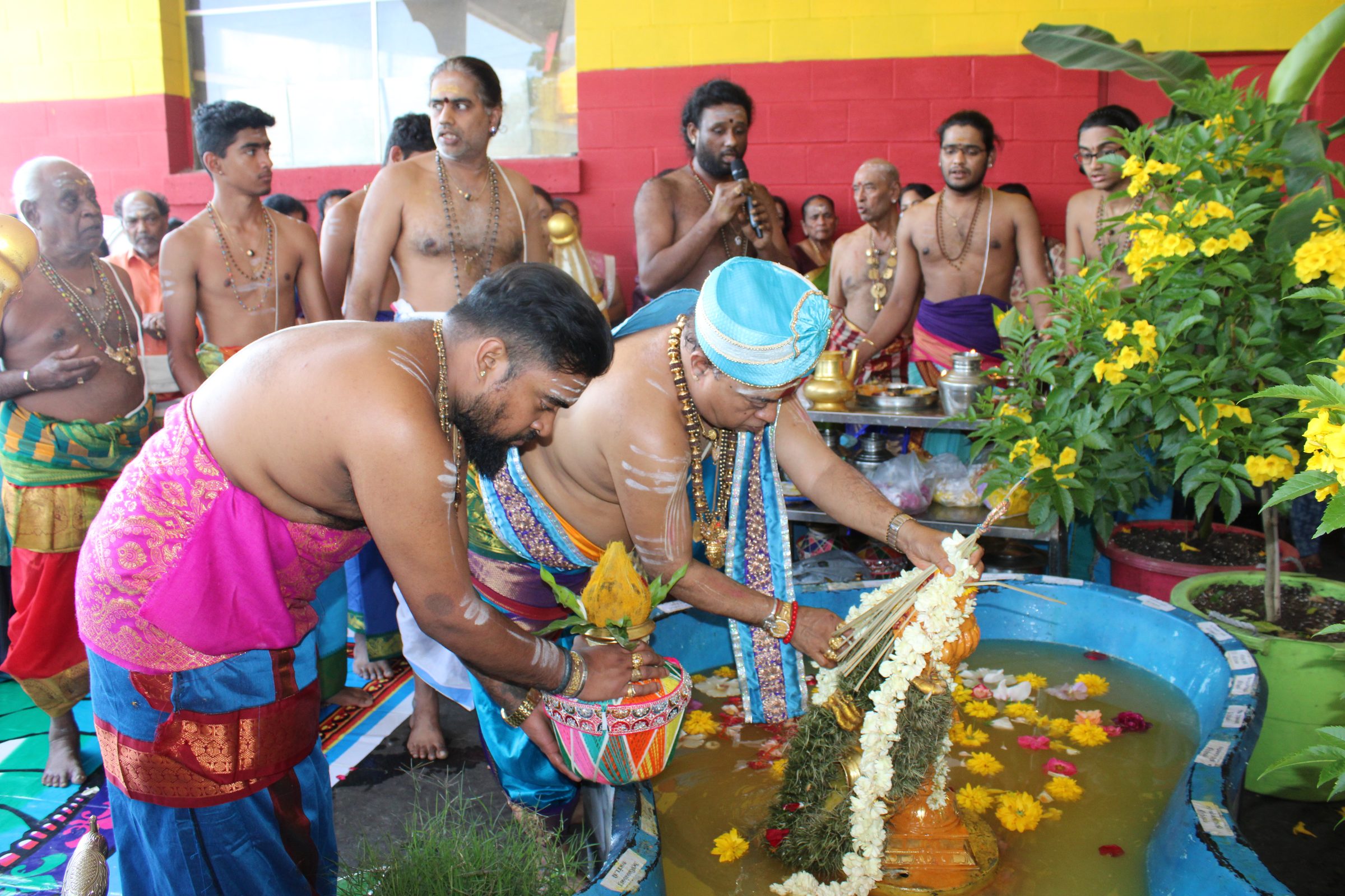 Festival 2024 photo
