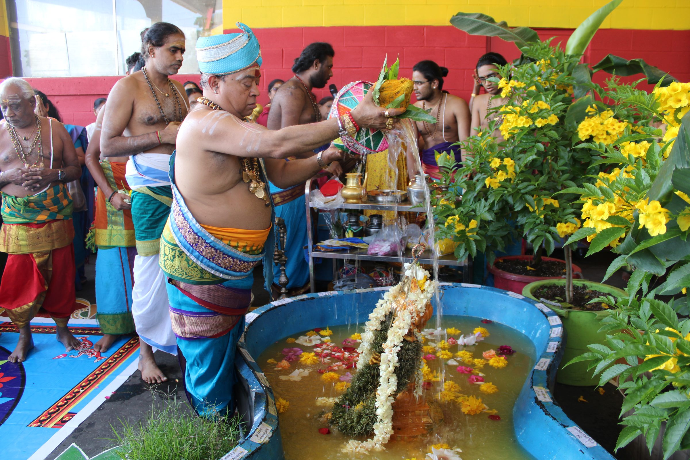 Festival 2024 photo