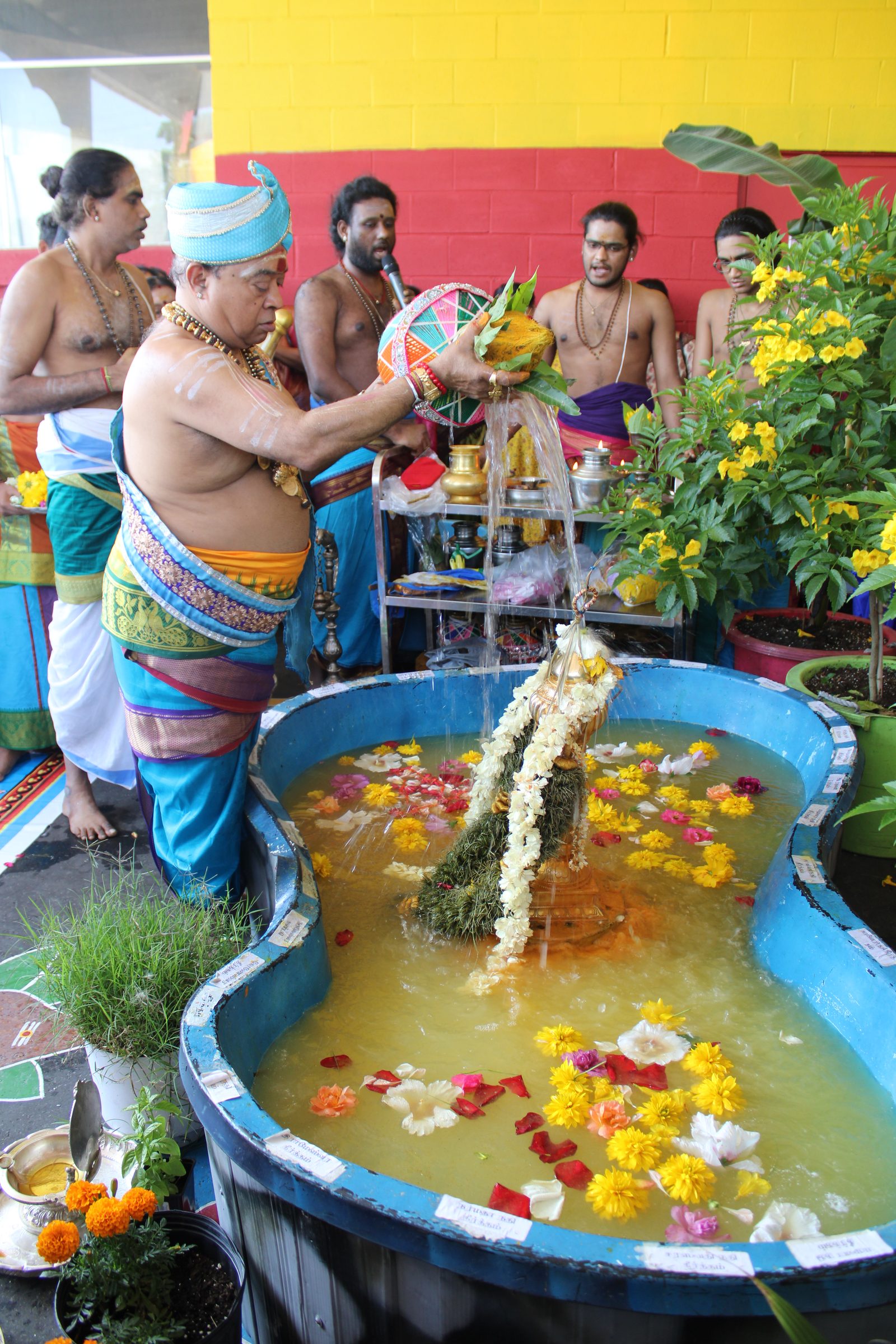 Festival 2024 photo