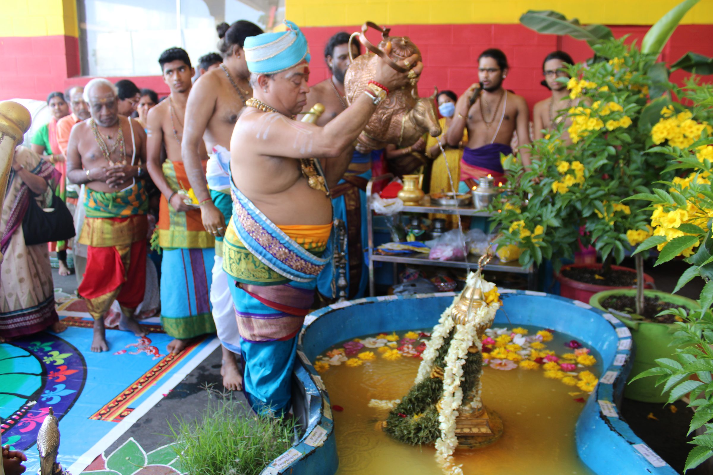 Festival 2024 photo