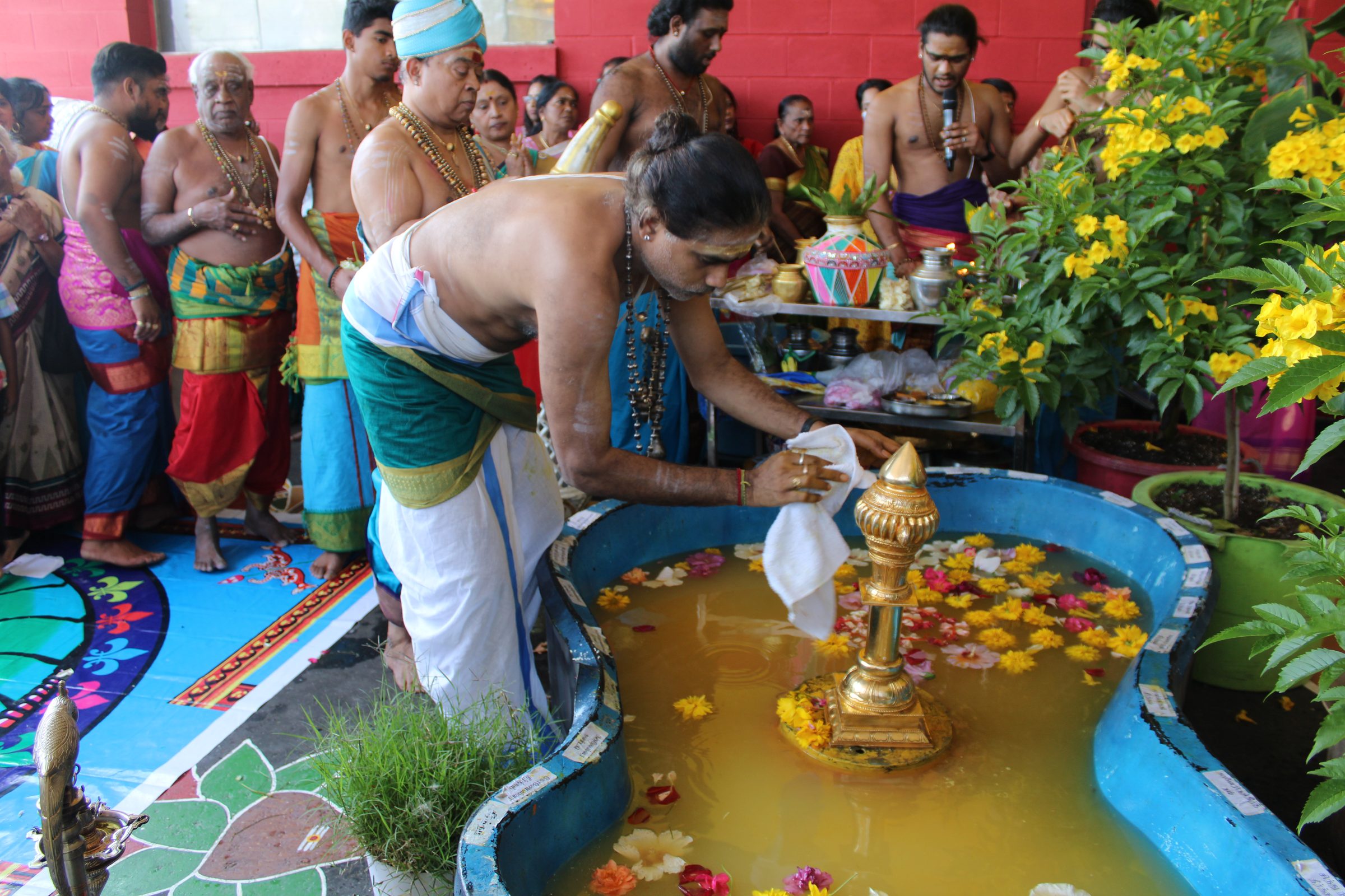 Festival 2024 photo
