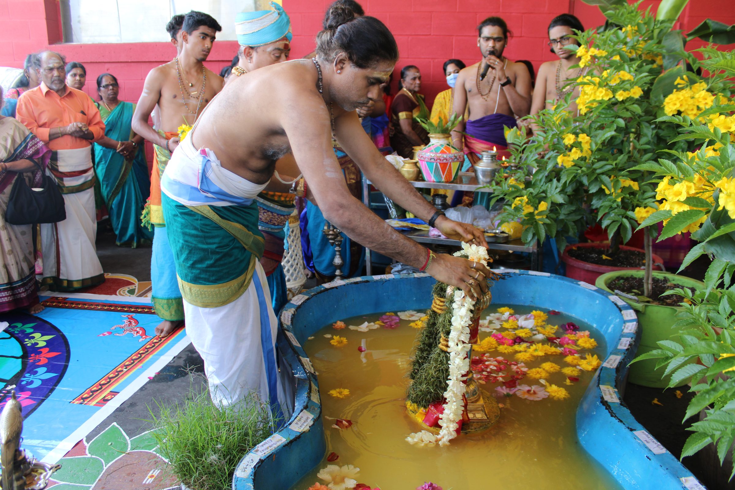 Festival 2024 photo