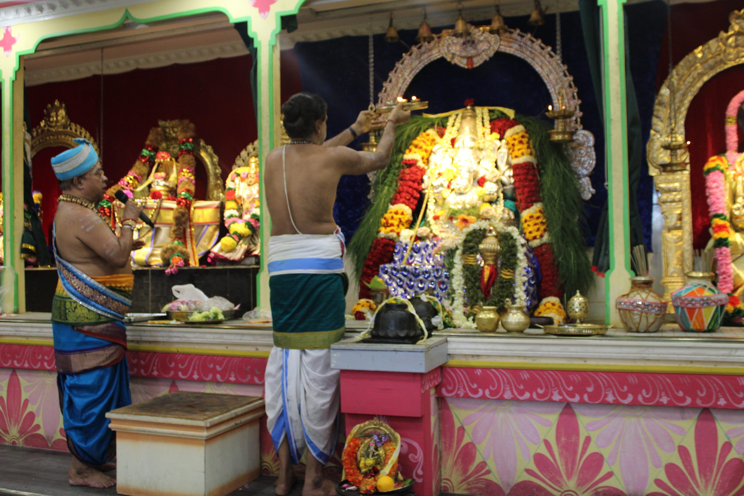 Festival 2024 photo