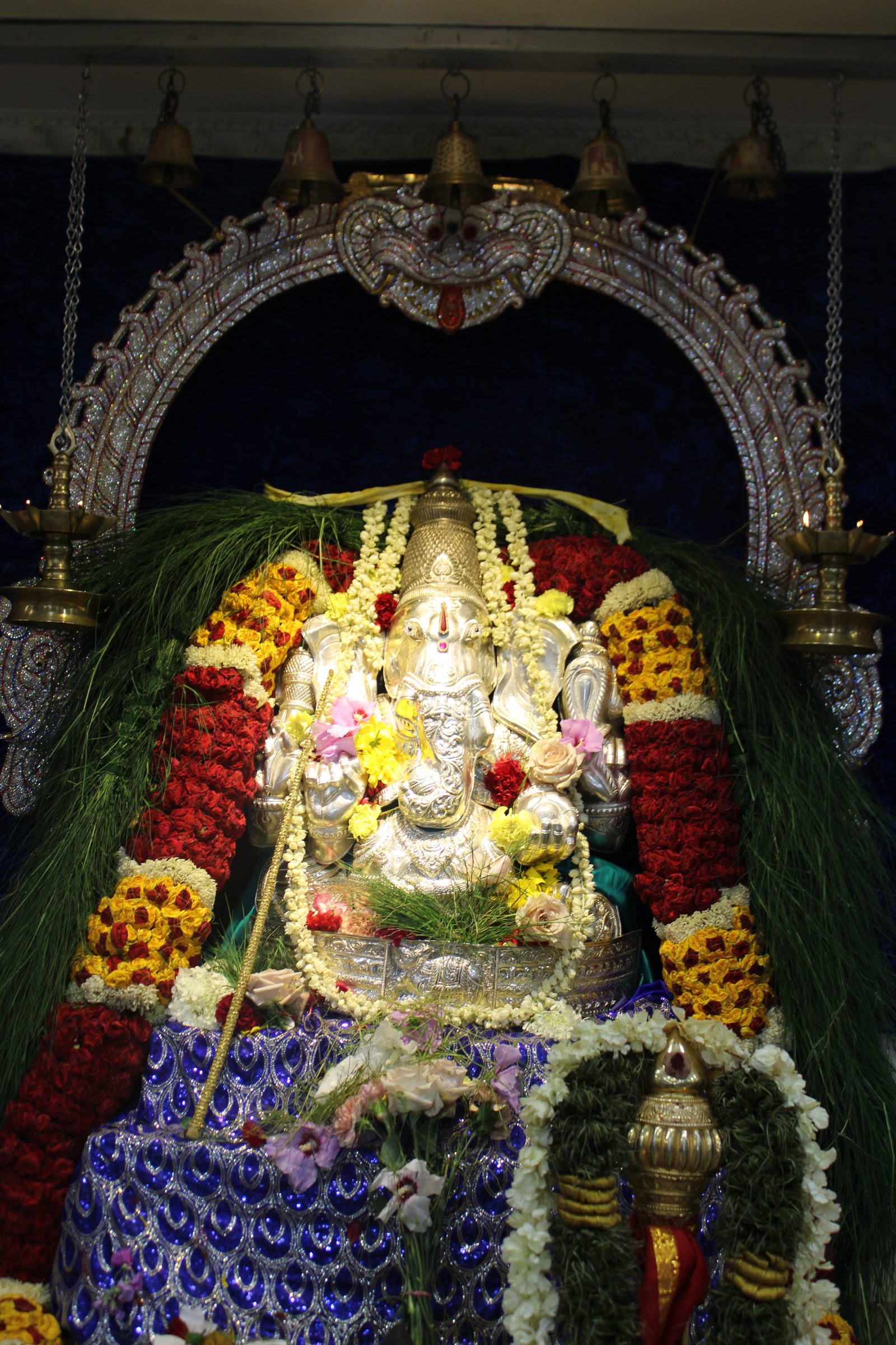 Festival 2024 photo