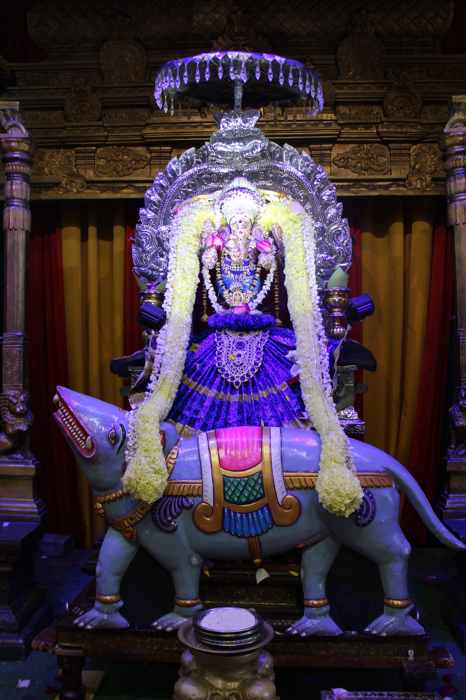 Festival 2024 photo