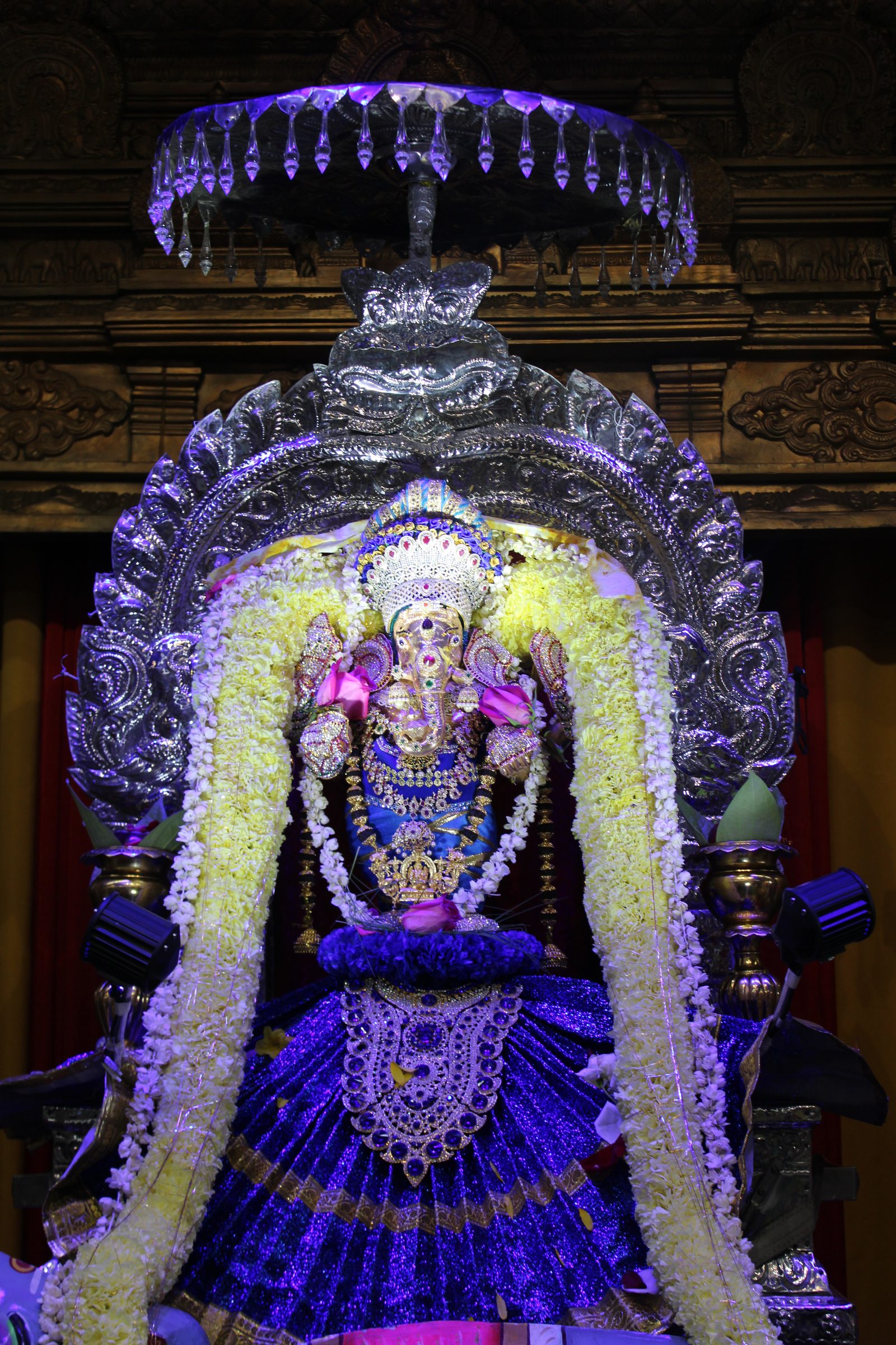 Festival 2024 photo