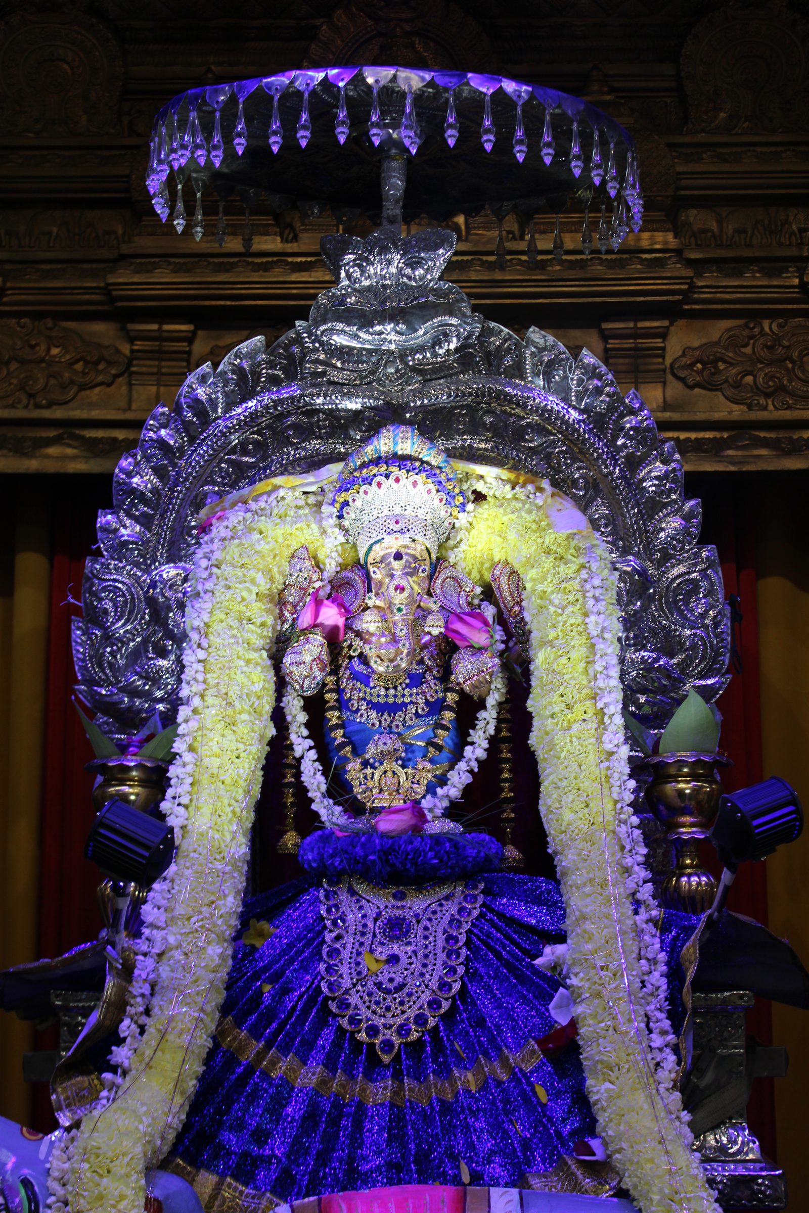 Festival 2024 photo