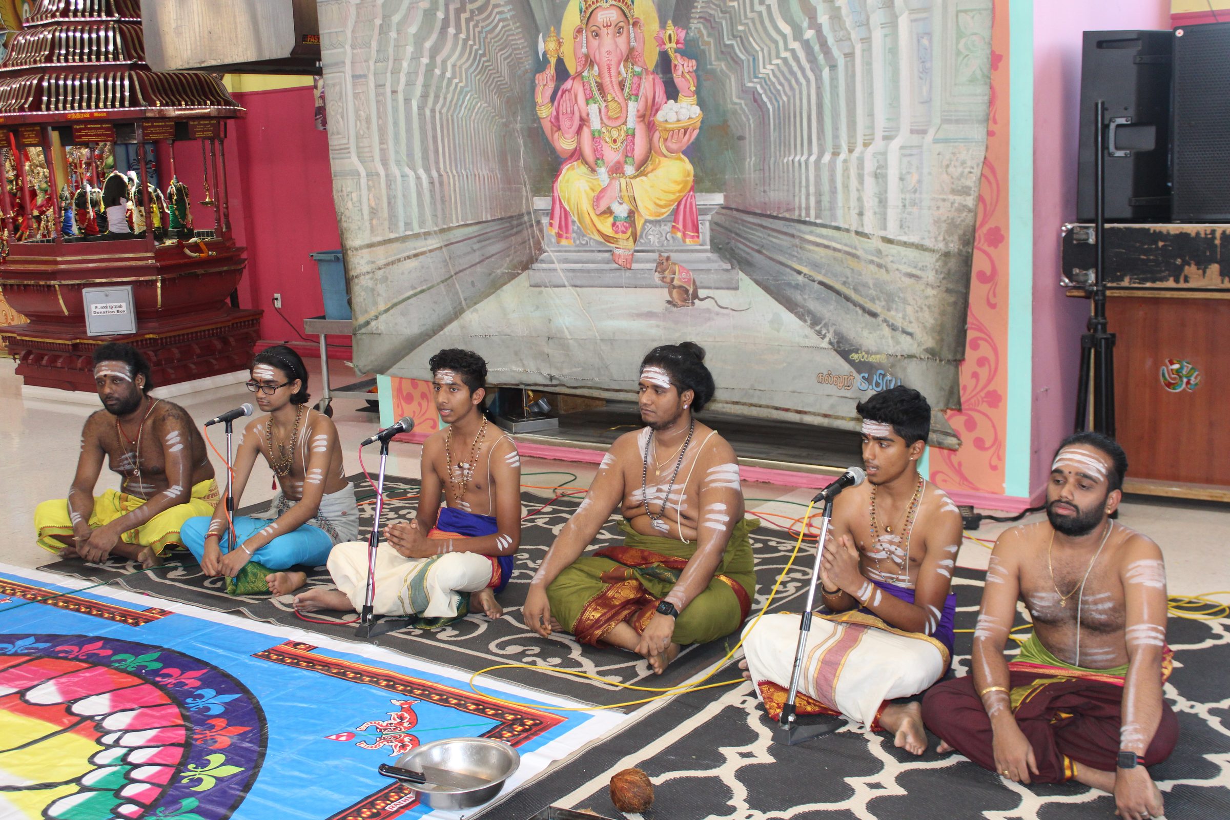 Festival 2024 photo