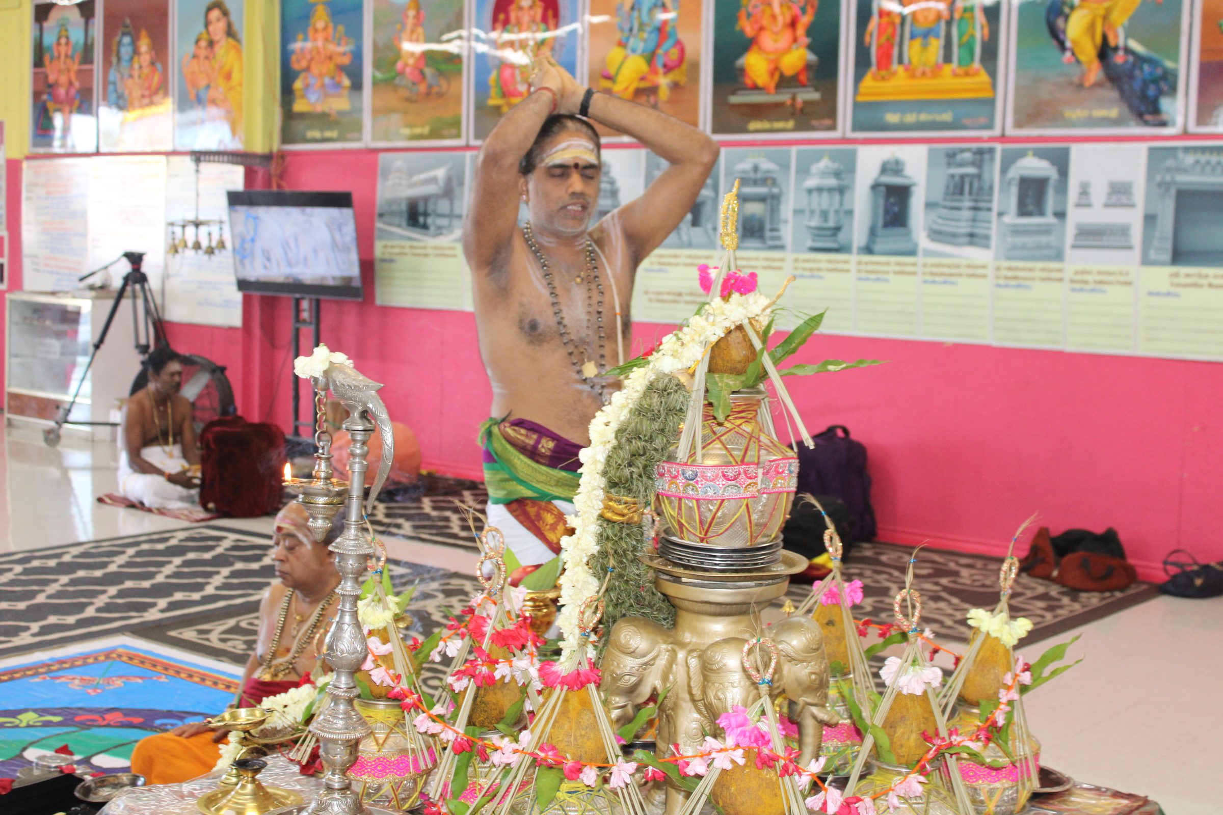 Festival 2024 photo