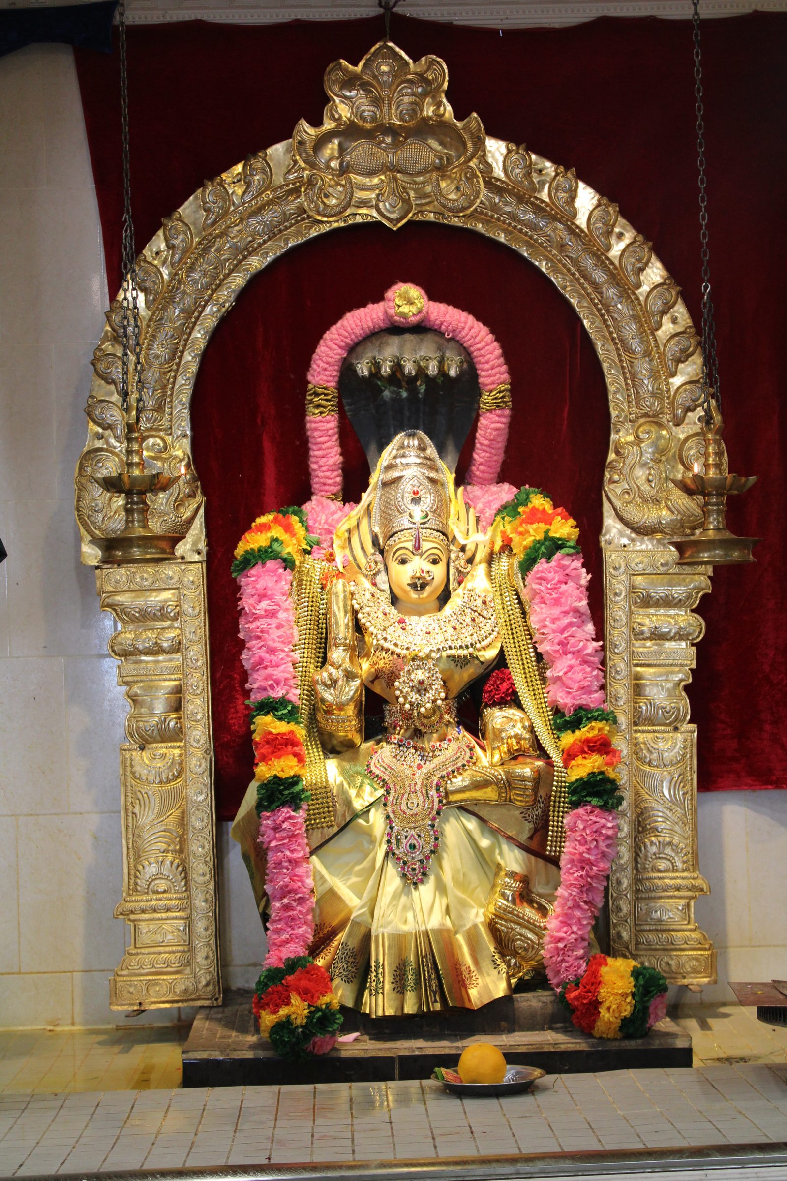 Festival 2024 photo