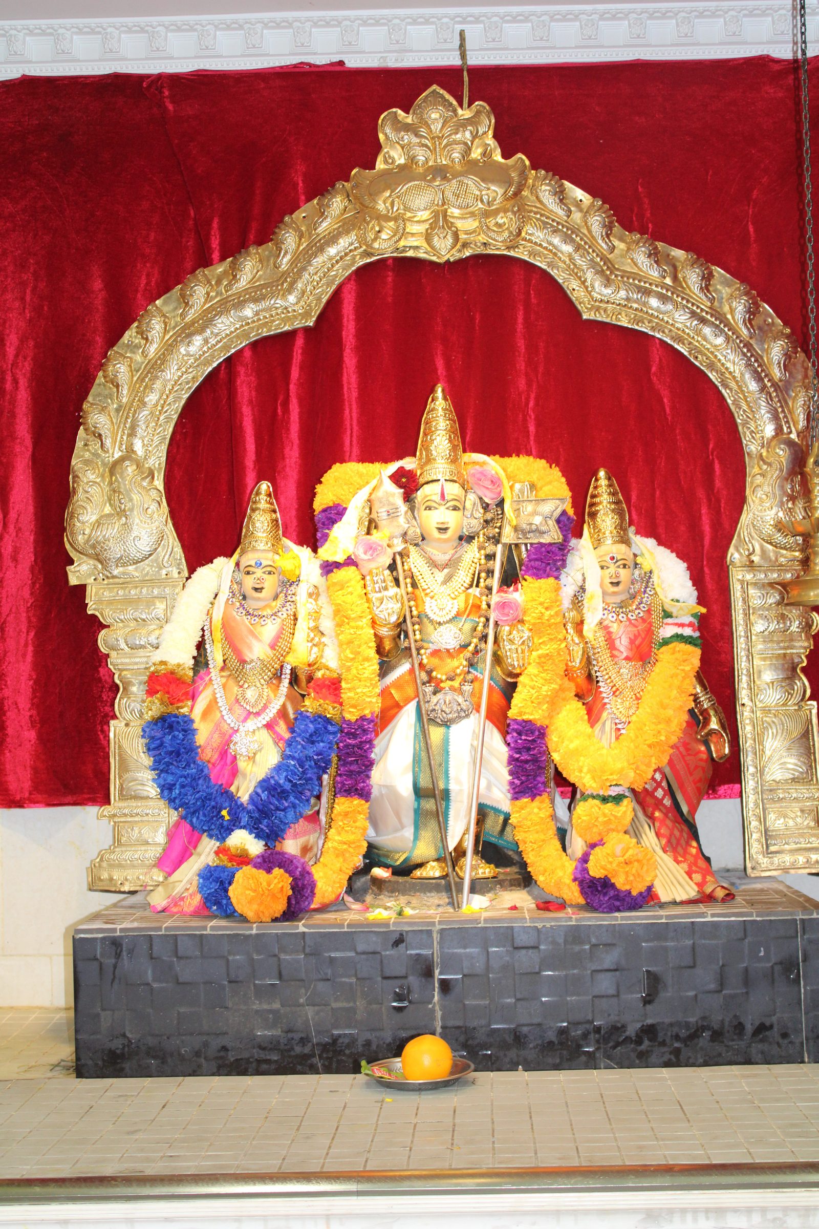 Festival 2024 photo