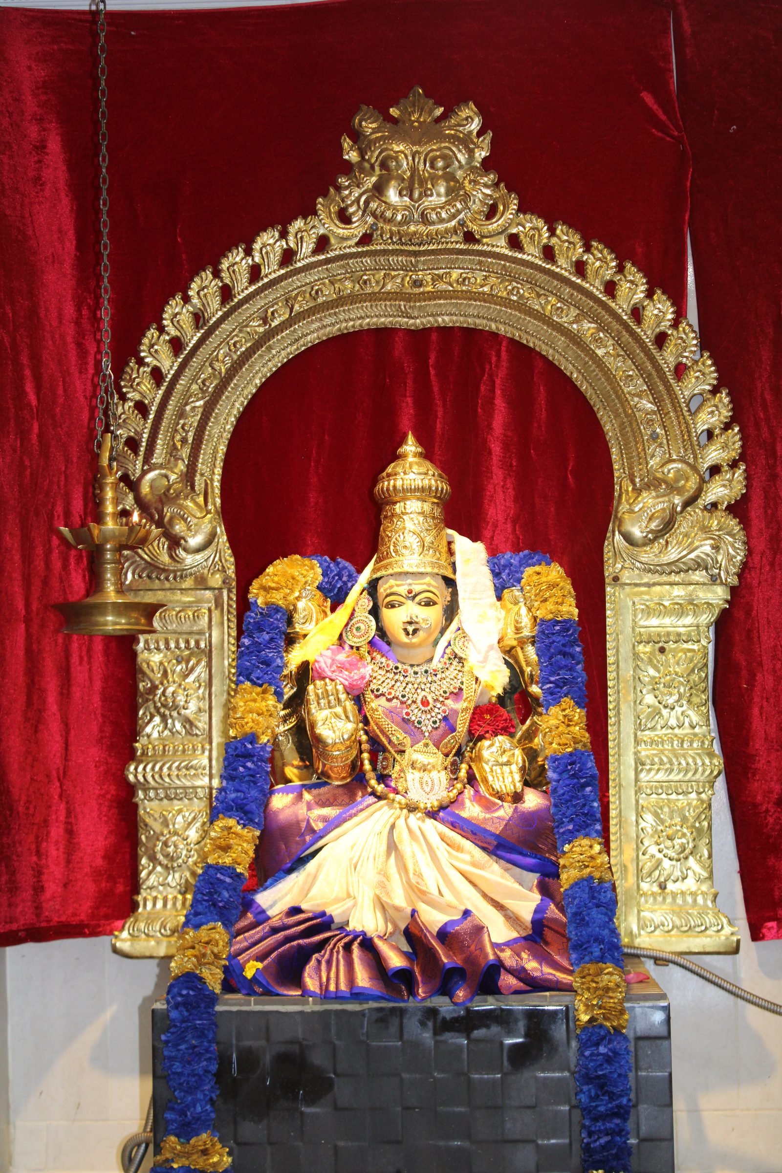 Festival 2024 photo