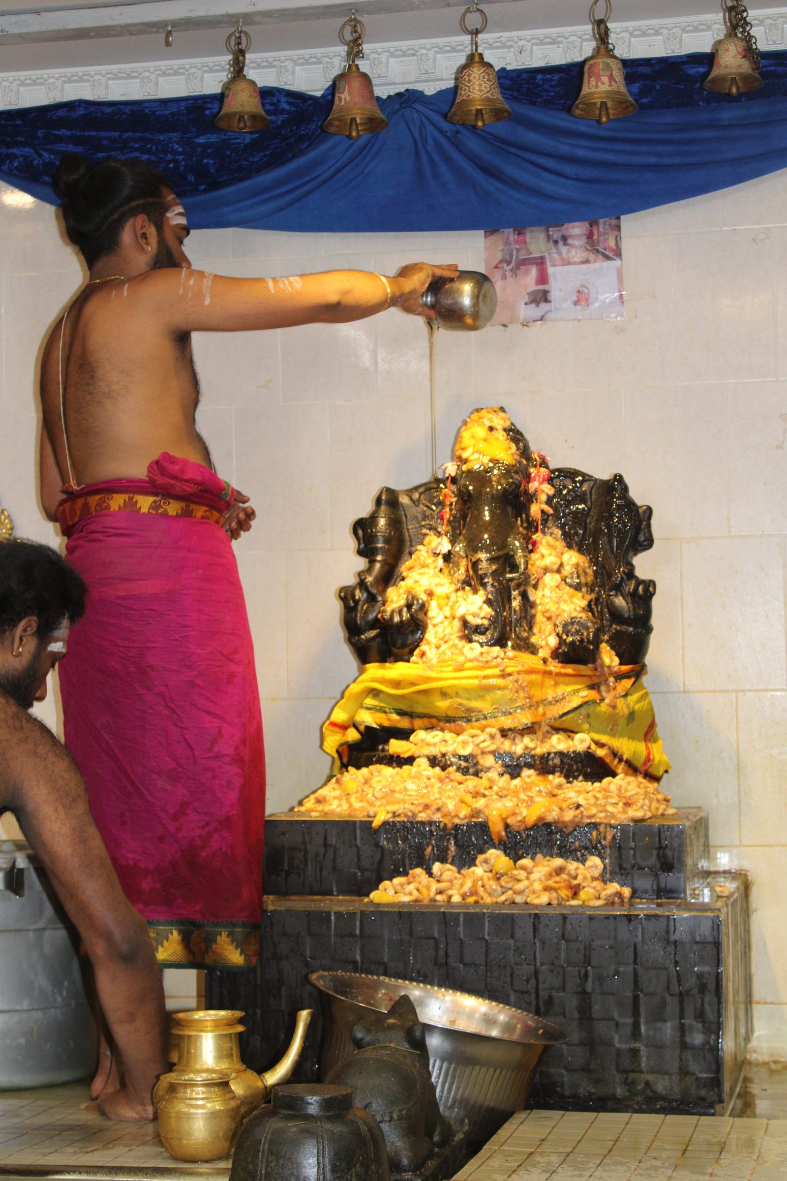 Festival 2024 photo