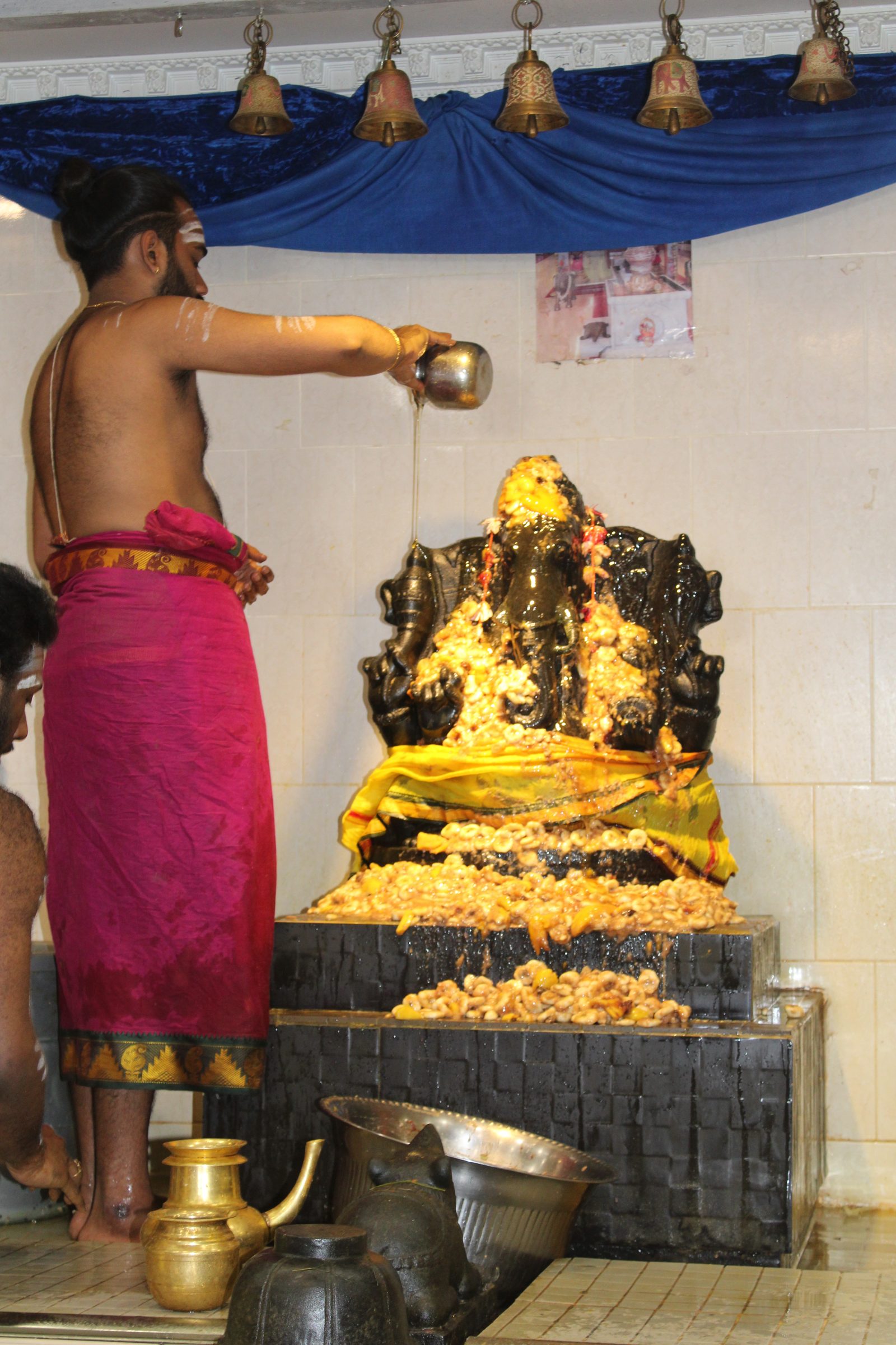 Festival 2024 photo