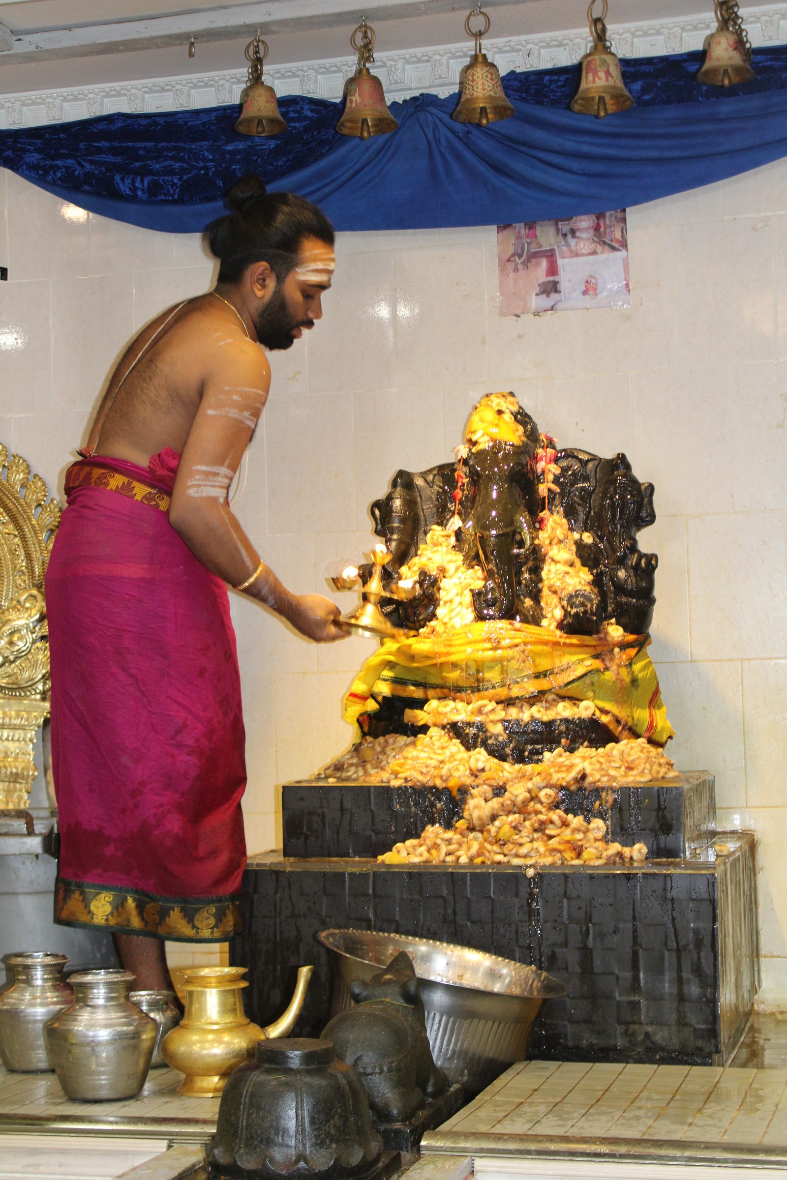 Festival 2024 photo