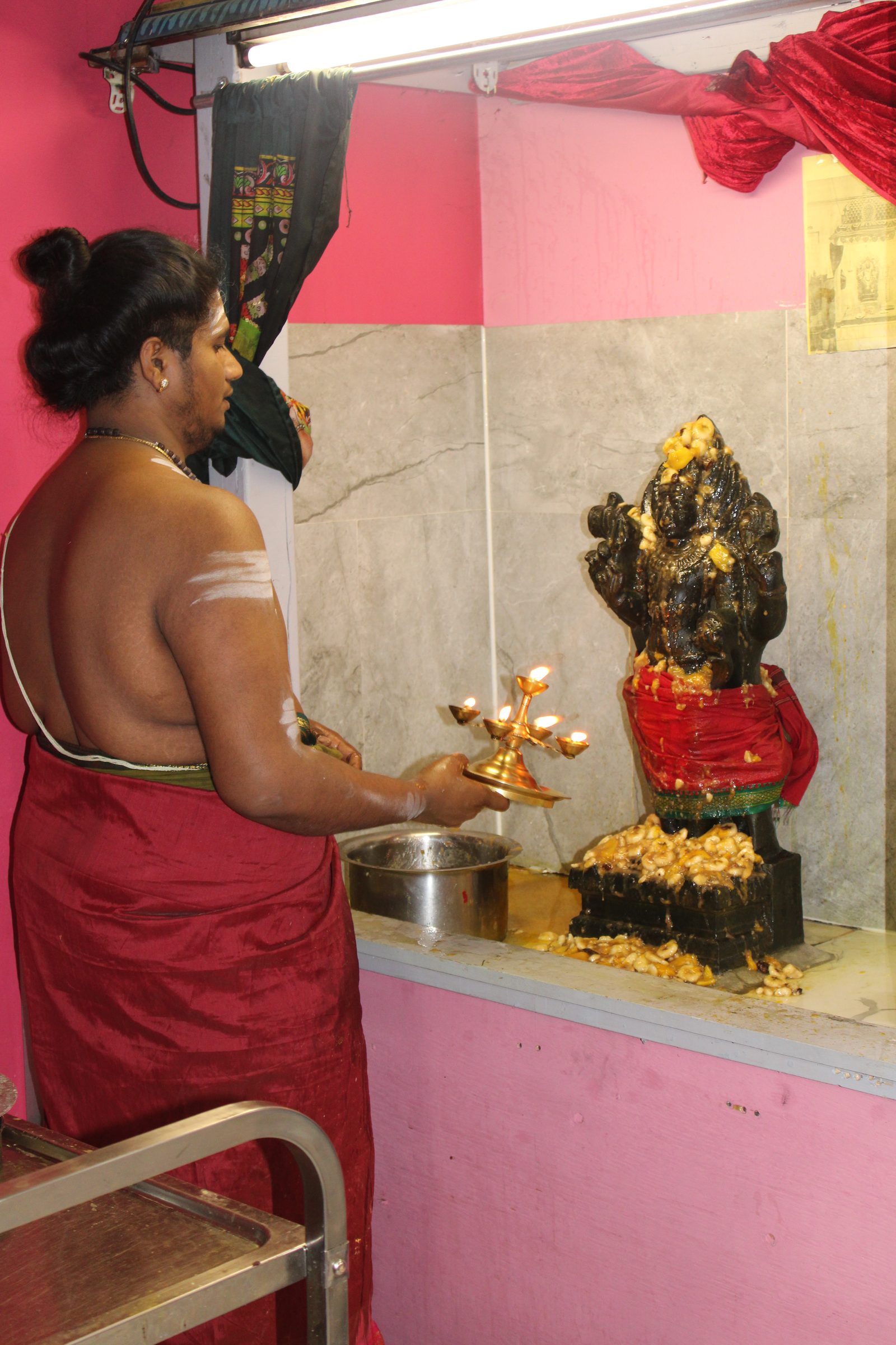 Festival 2024 photo