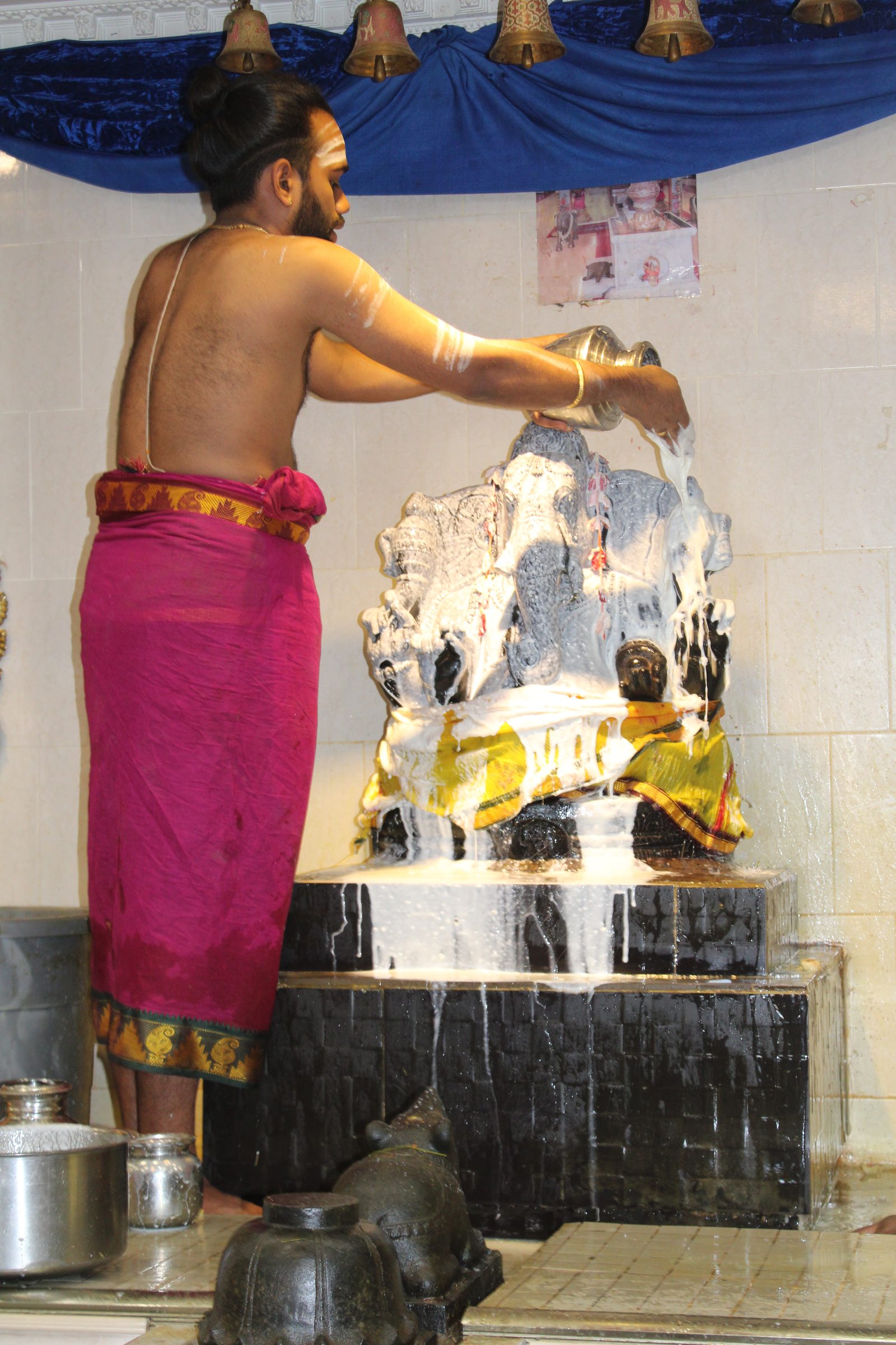 Festival 2024 photo