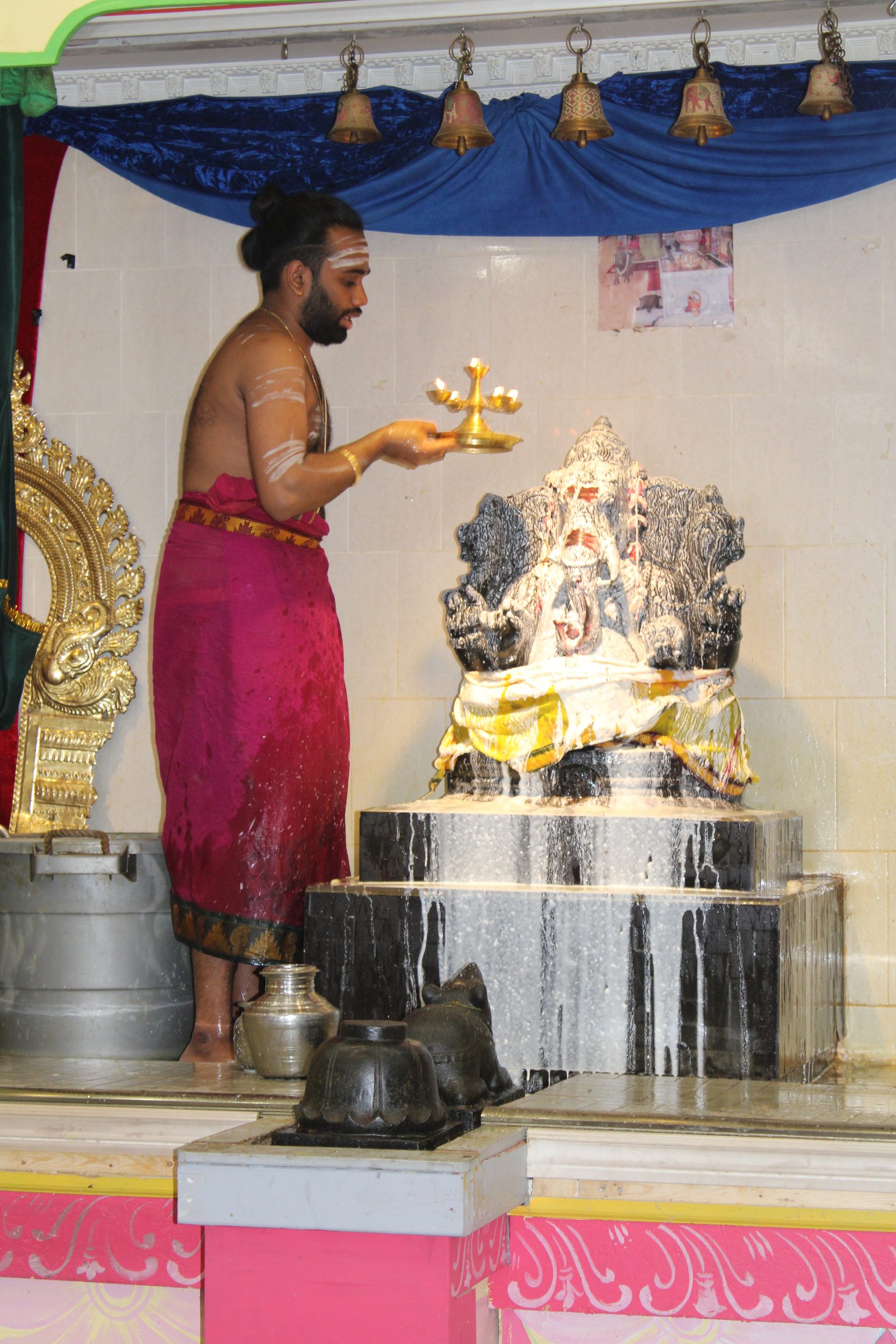 Festival 2024 photo