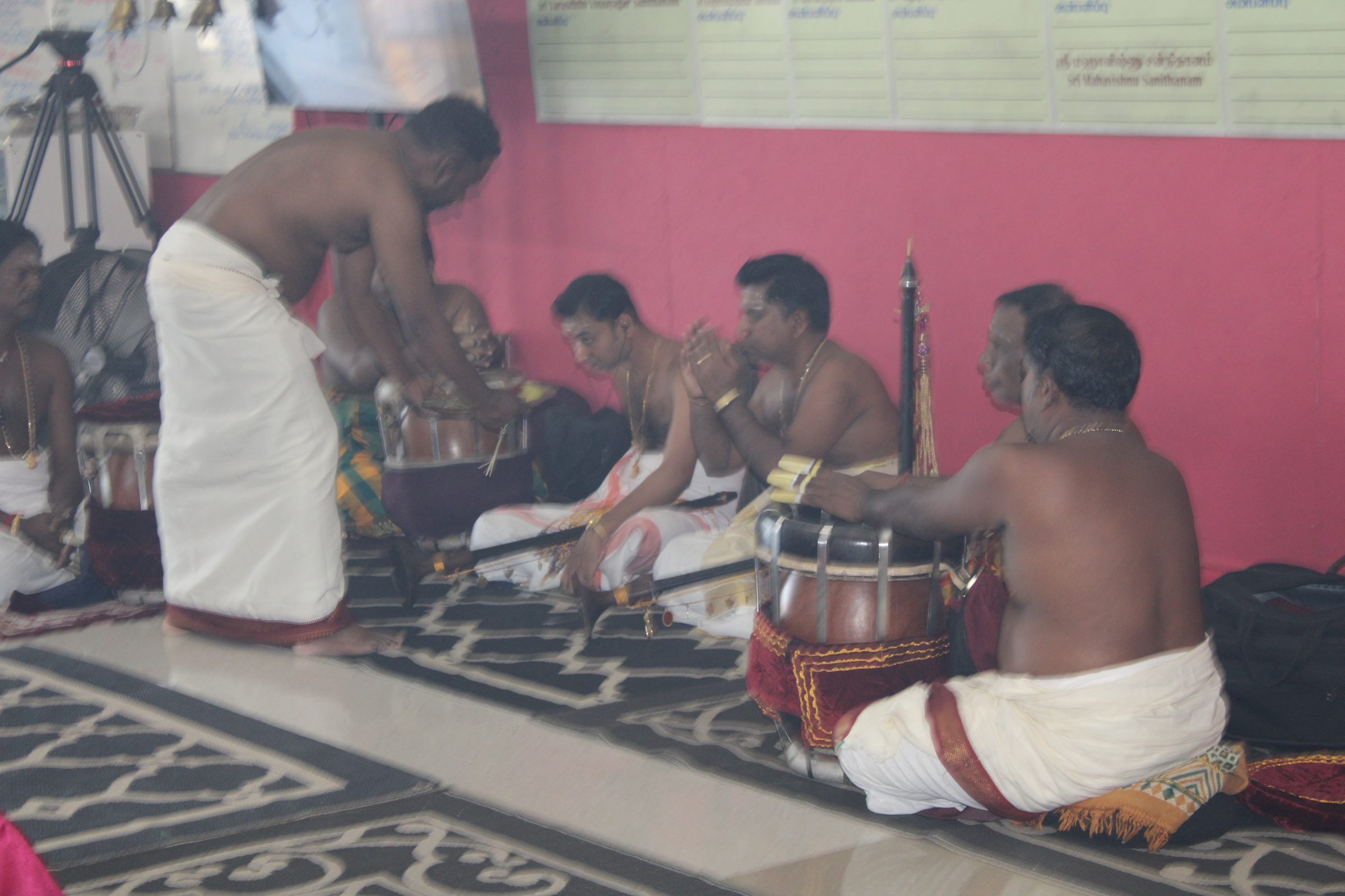 Festival 2024 photo