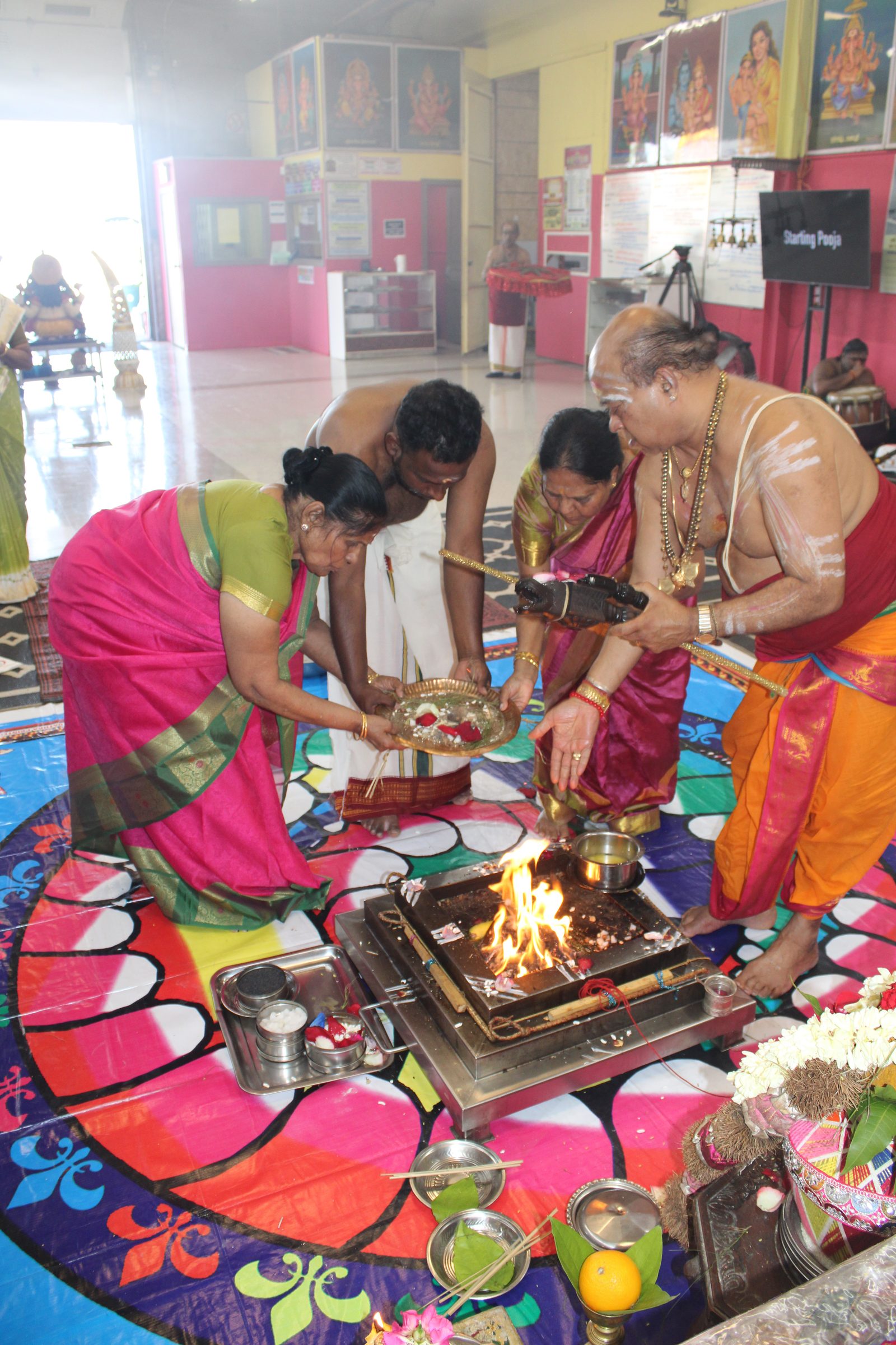 Festival 2024 photo