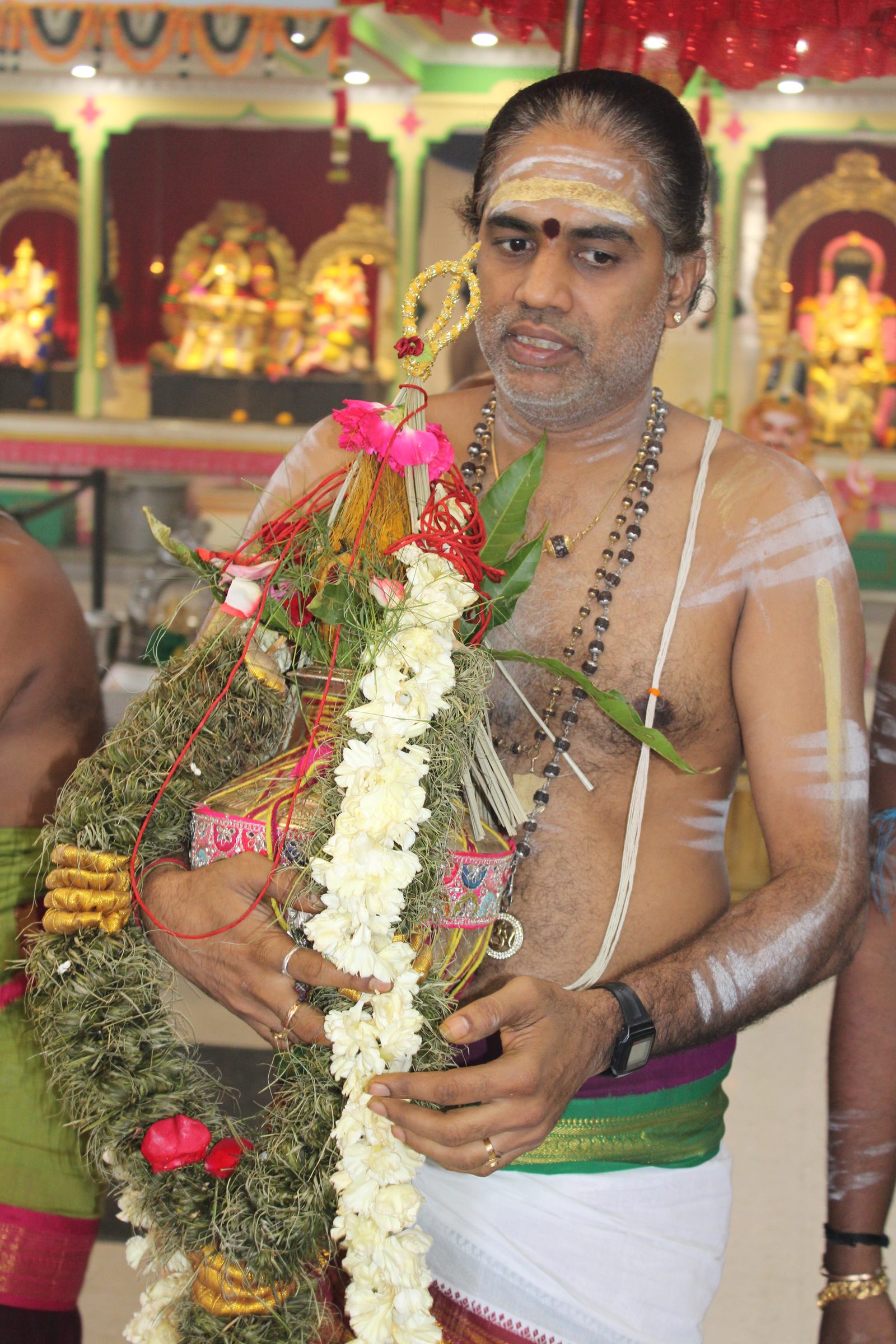 Festival 2024 photo
