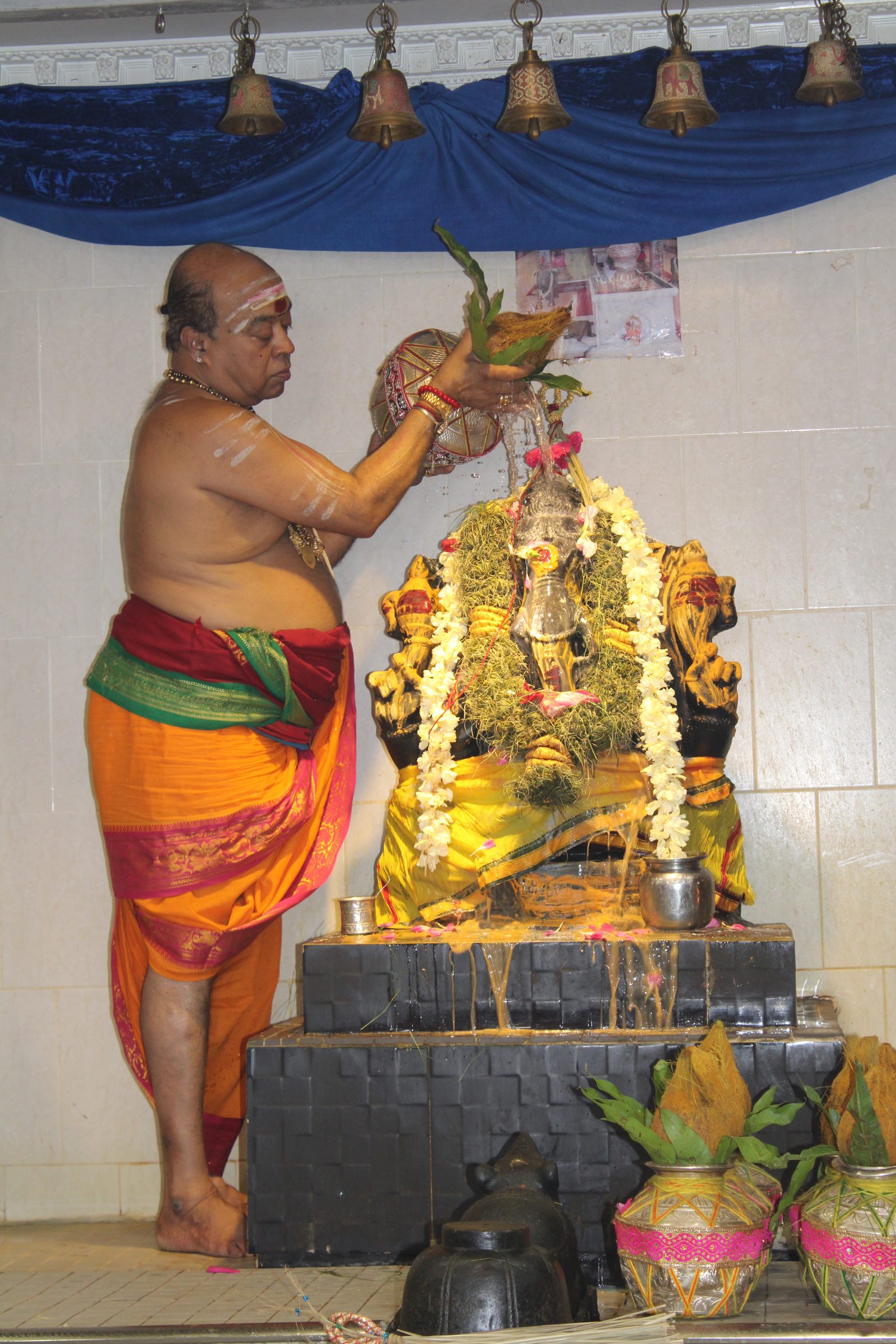 Festival 2024 photo