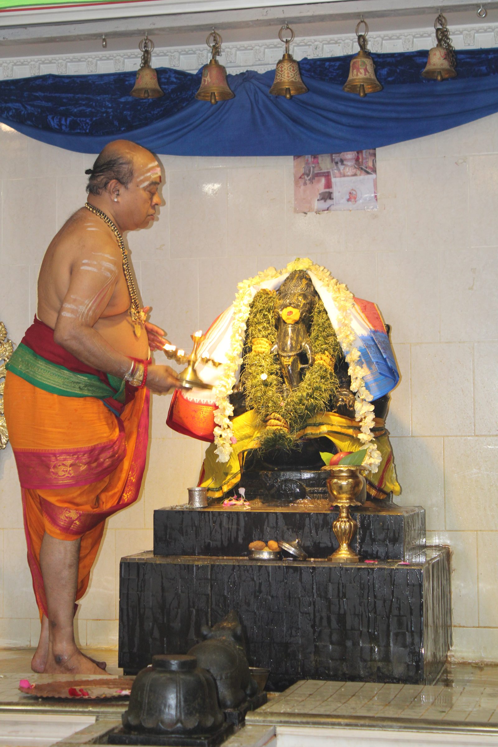 Festival 2024 photo