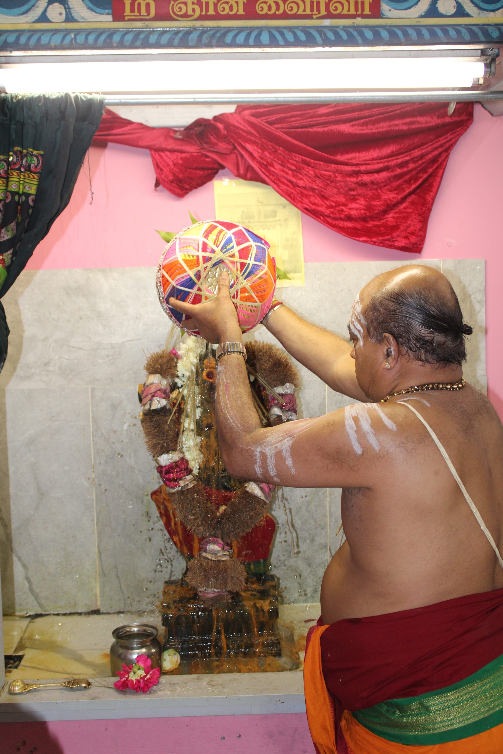 Festival 2024 photo