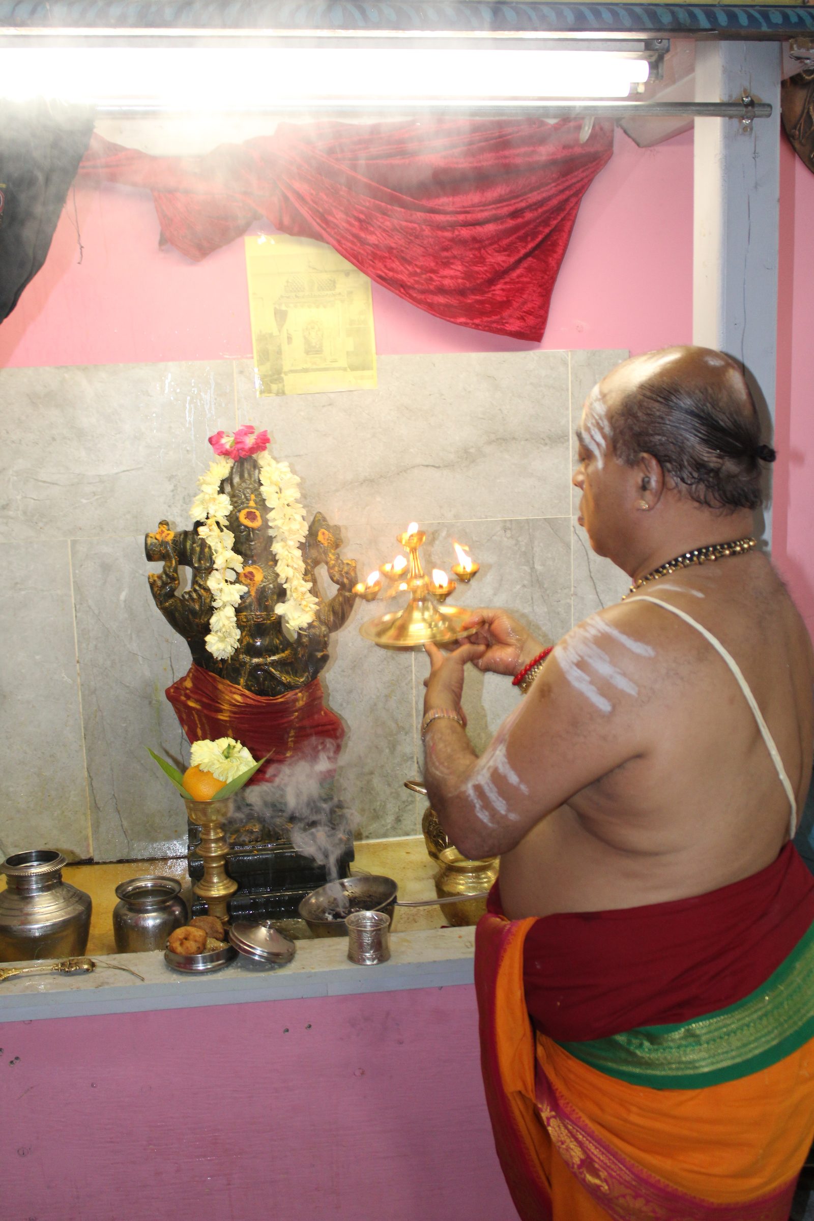 Festival 2024 photo