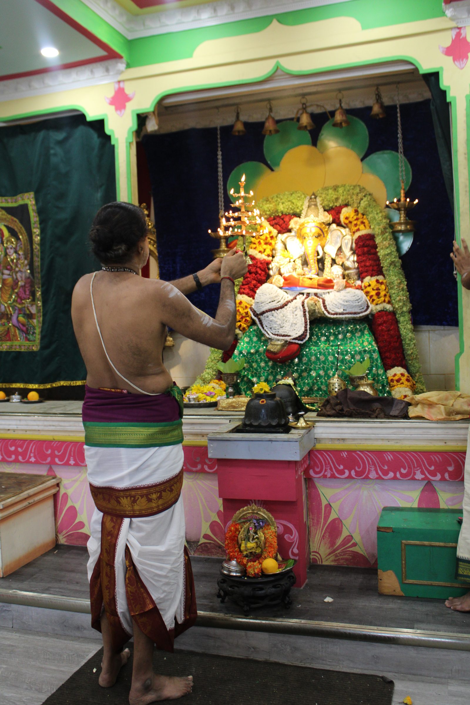 Festival 2024 photo