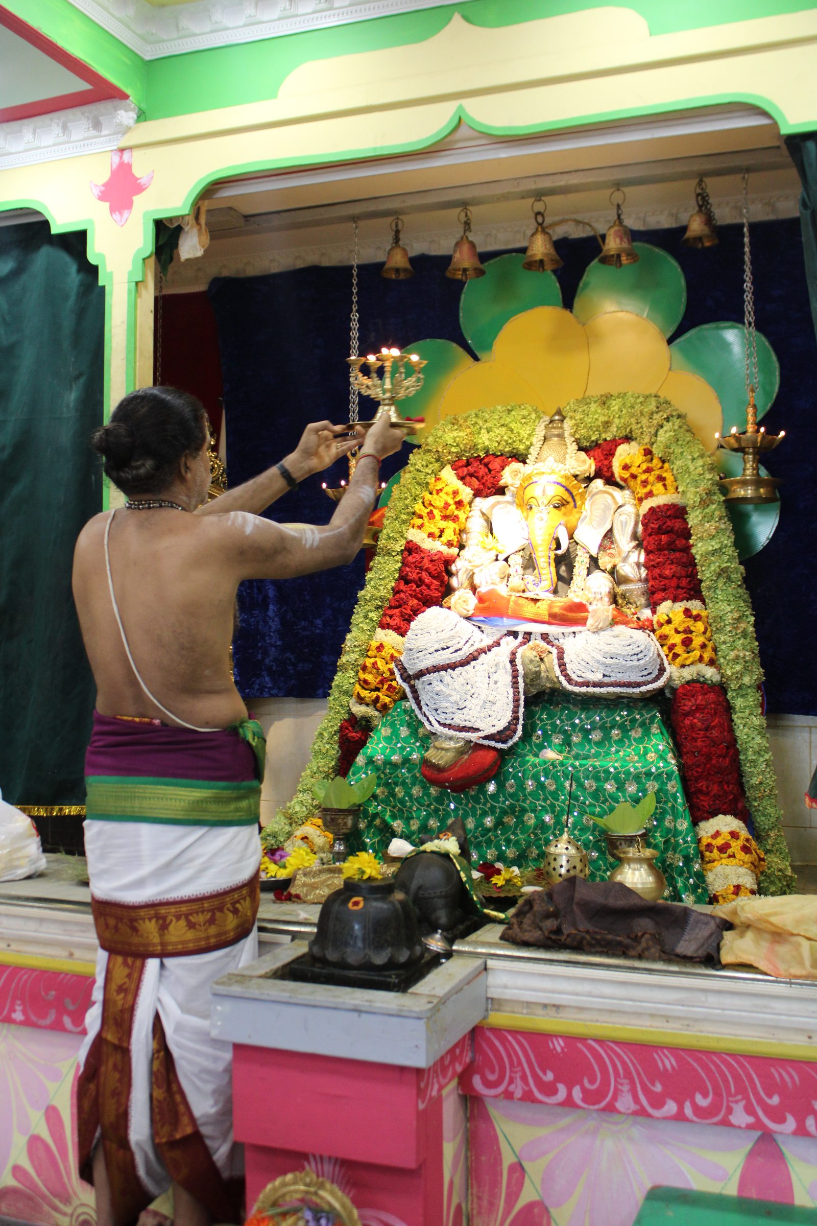 Festival 2024 photo