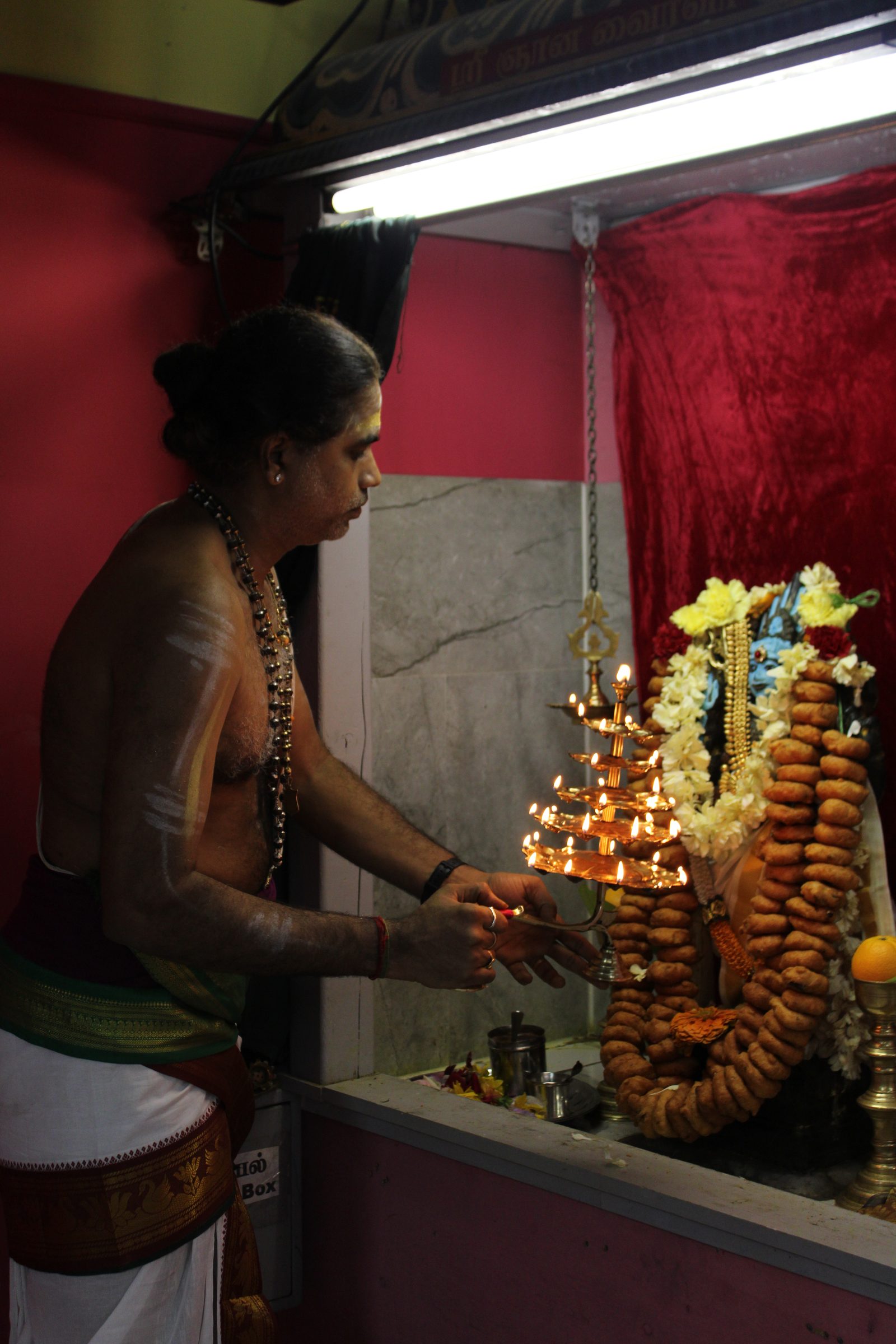 Festival 2024 photo