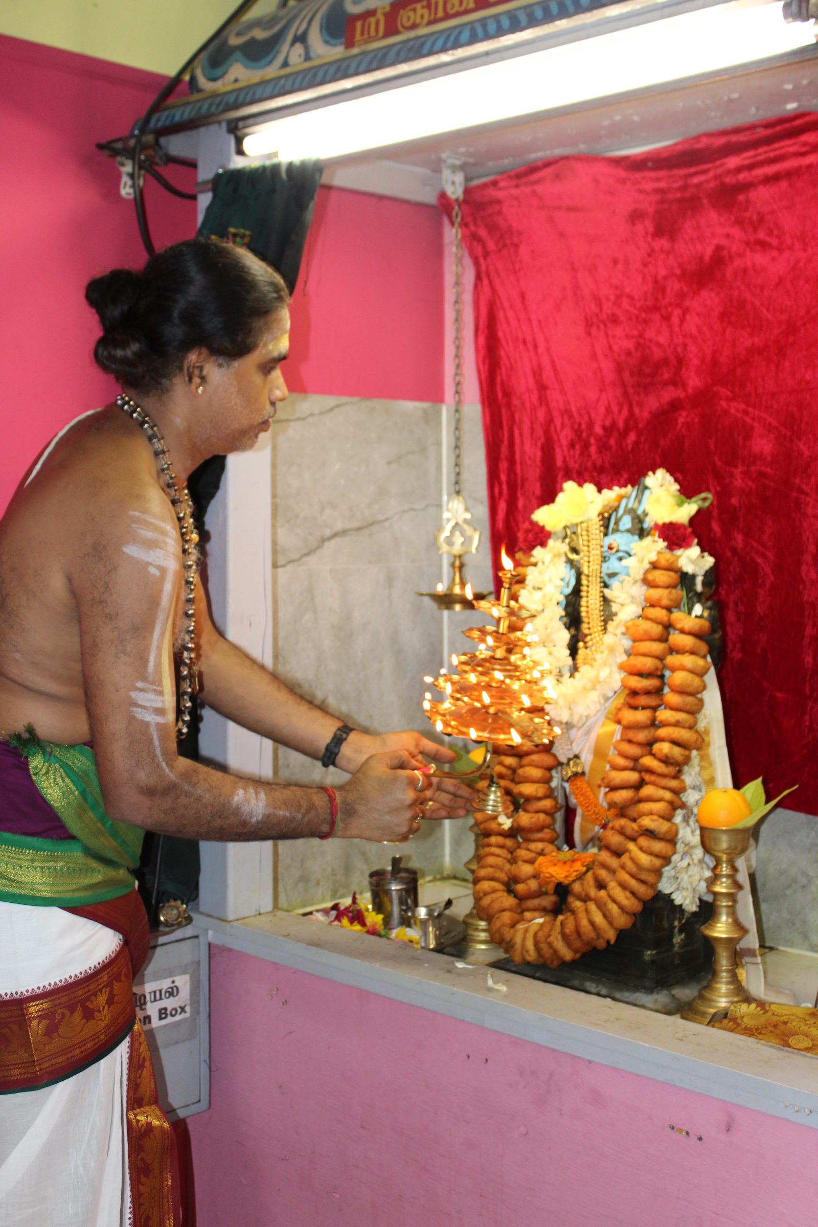 Festival 2024 photo