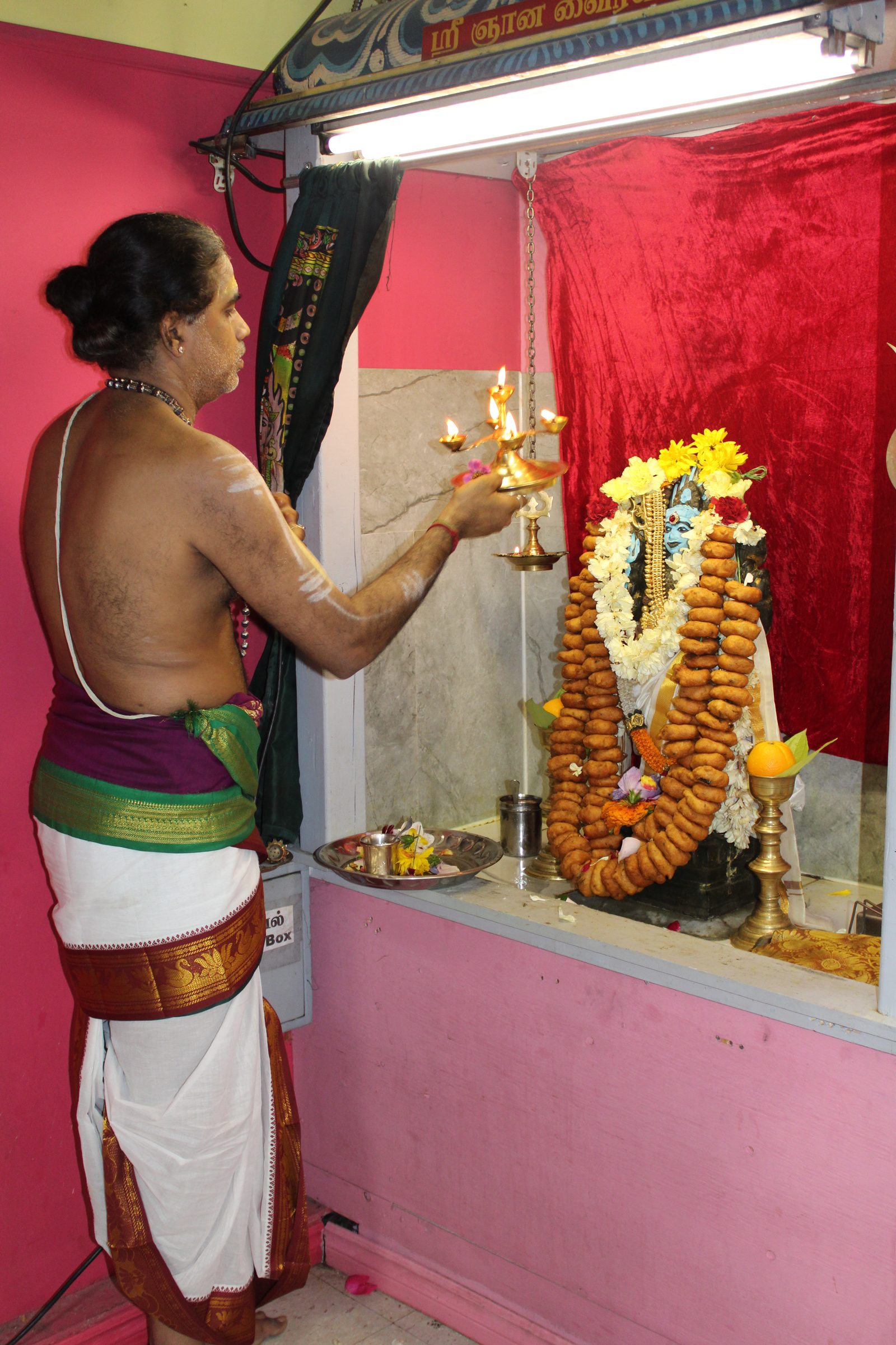 Festival 2024 photo