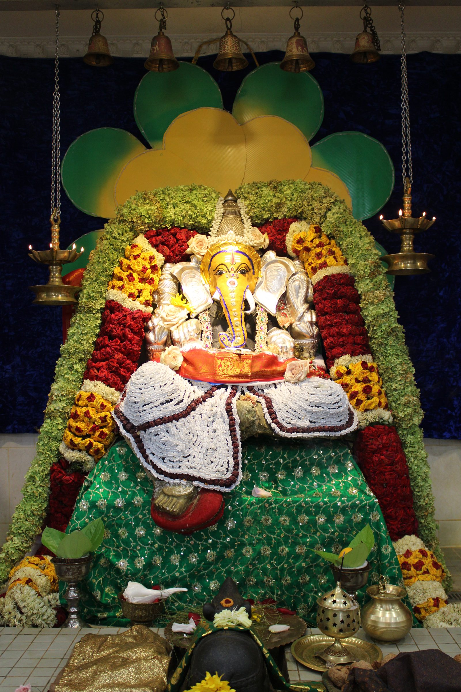 Festival 2024 photo