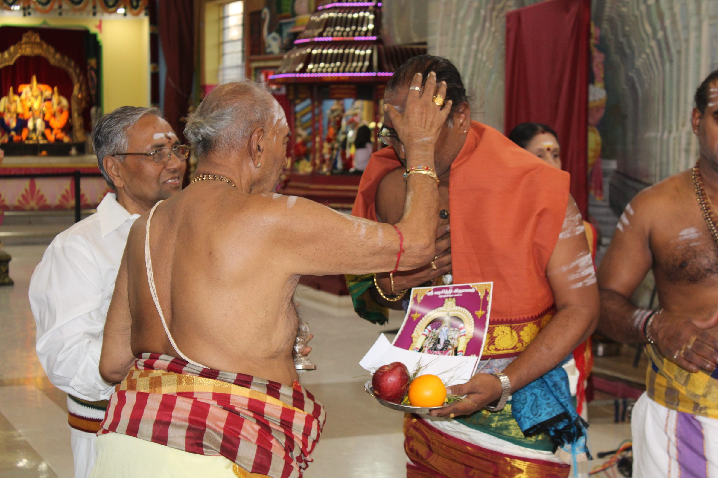 Festival 2024 photo
