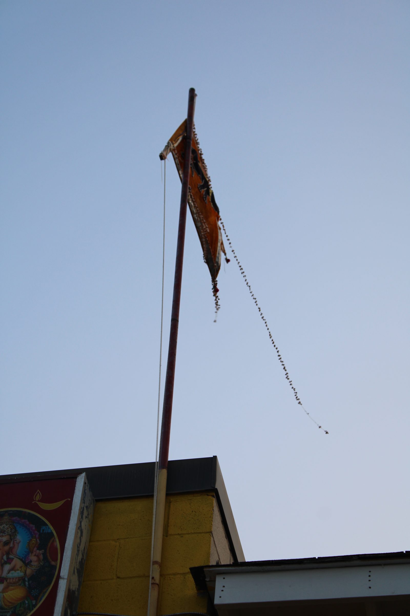 Festival 2024 photo